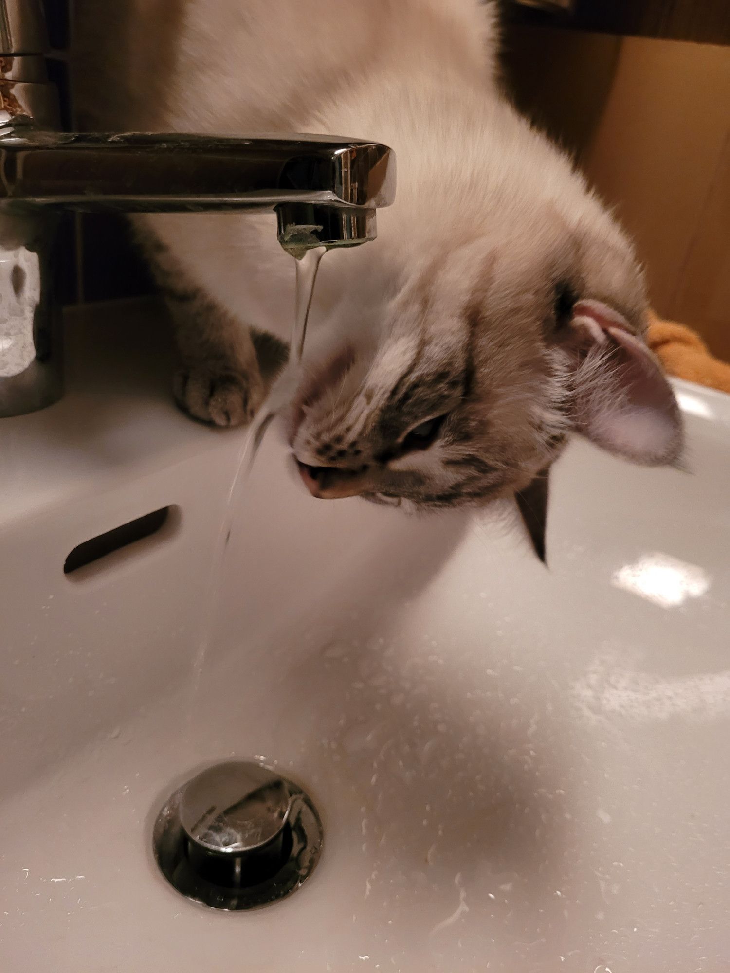 Un petit coup d'eau sur le menton ...