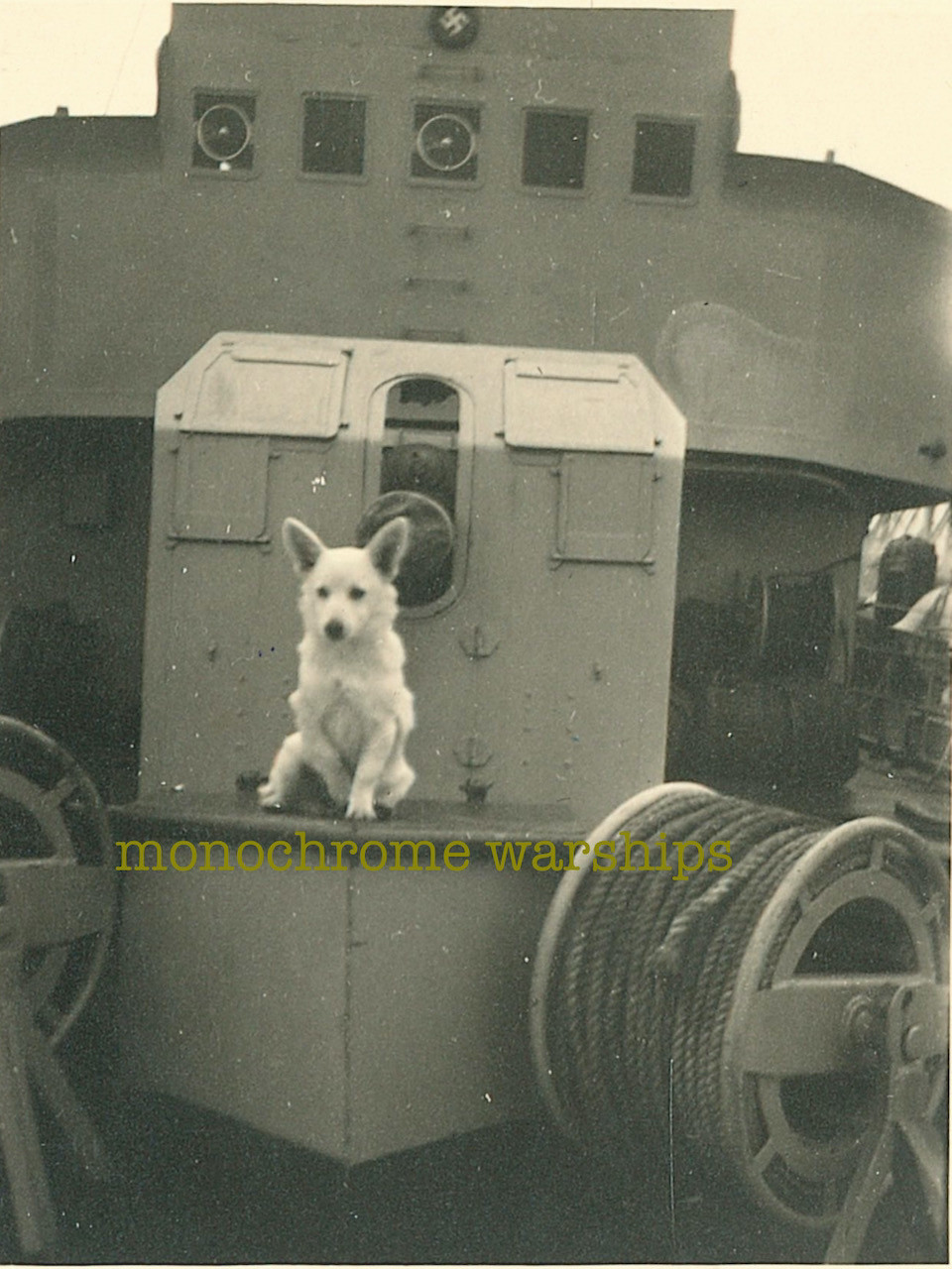Photo taken on the foredeck of a Kriegsmarine M1935 minesweeper, looking towards the 4'1" gun and the bridge. However, the main item of interest is the very fine-looking almost white German Shepherd dog sitting obediently in front of the gun. Because he's a good boy, oh yes he is.