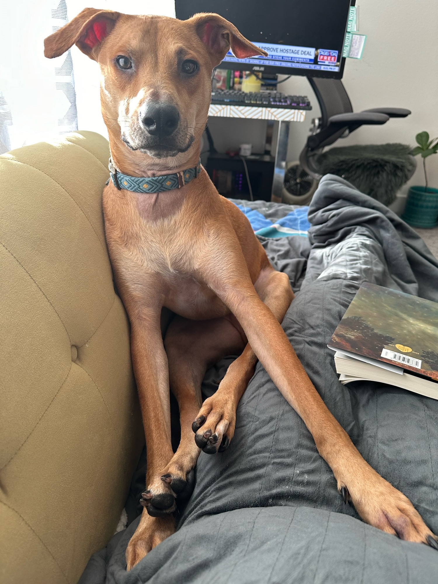 He also loves to assist during reading time. 