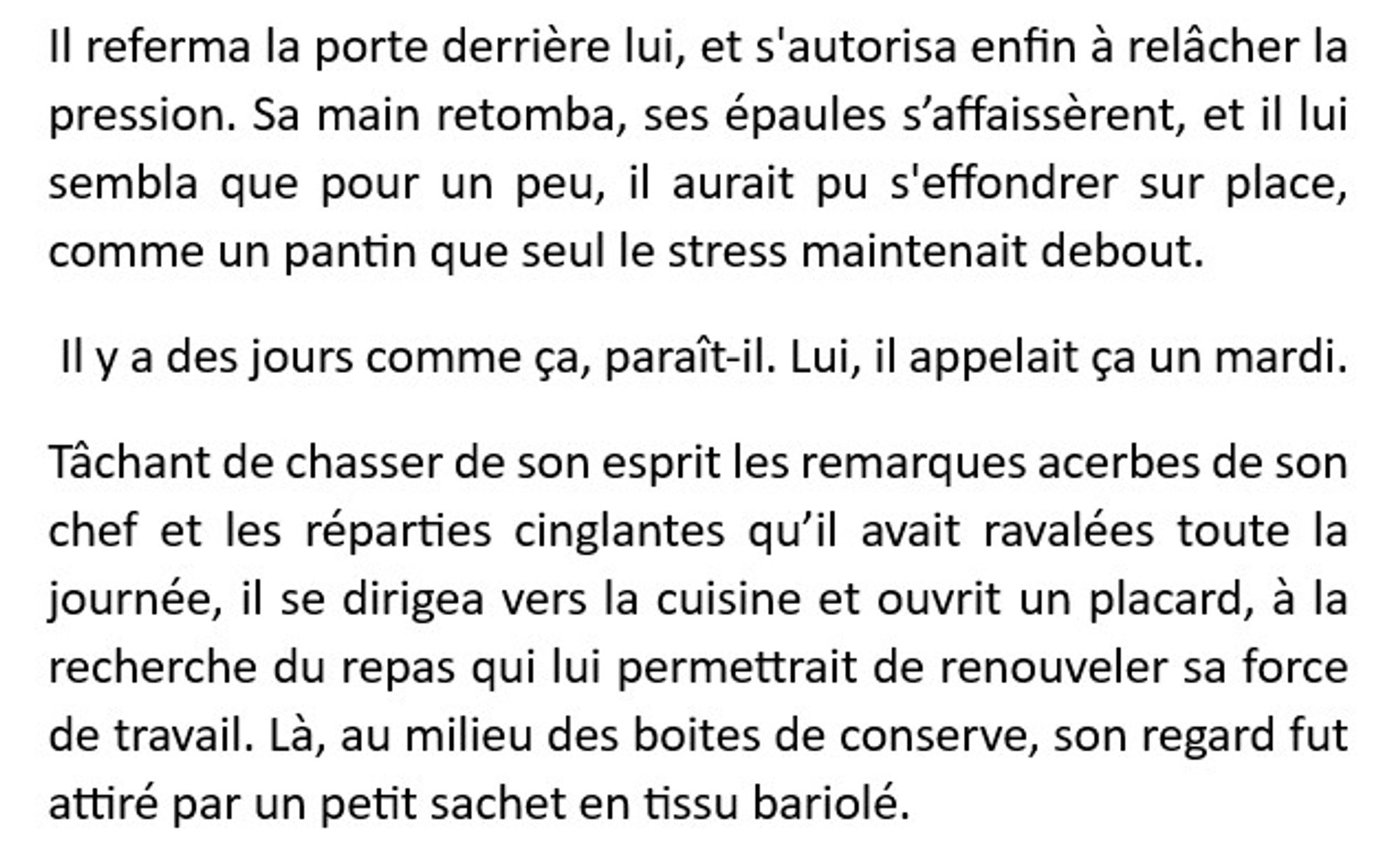 Il referma la porte derrière lui, et s'autorisa enfin à relâcher la pression. Sa main retomba, ses épaules s’affaissèrent, et il lui sembla que pour un peu, il aurait pu s'effondrer sur place, comme un pantin que seul le stress maintenait debout.
 Il y a des jours comme ça, paraît-il. Lui, il appelait ça un mardi.
Tâchant de chasser de son esprit les remarques acerbes de son chef et les réparties cinglantes qu’il avait ravalées toute la journée, il se dirigea vers la cuisine et ouvrit un placard, à la recherche du repas qui lui permettrait de renouveler sa force de travail. Là, au milieu des boites de conserve, son regard fut attiré par un petit sachet en tissu bariolé.