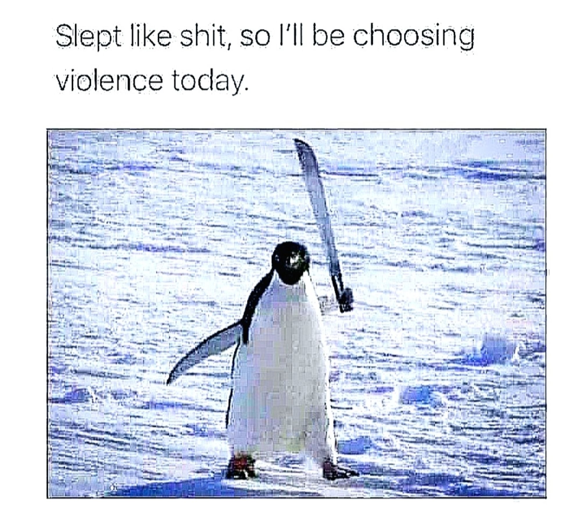 Zu sehen: Ein Pinguine auf schneebedecktem Boden mit einer erhobenen Machete in der "Hand".
Text: Slept like shit, so i'll be choosing voilence today.