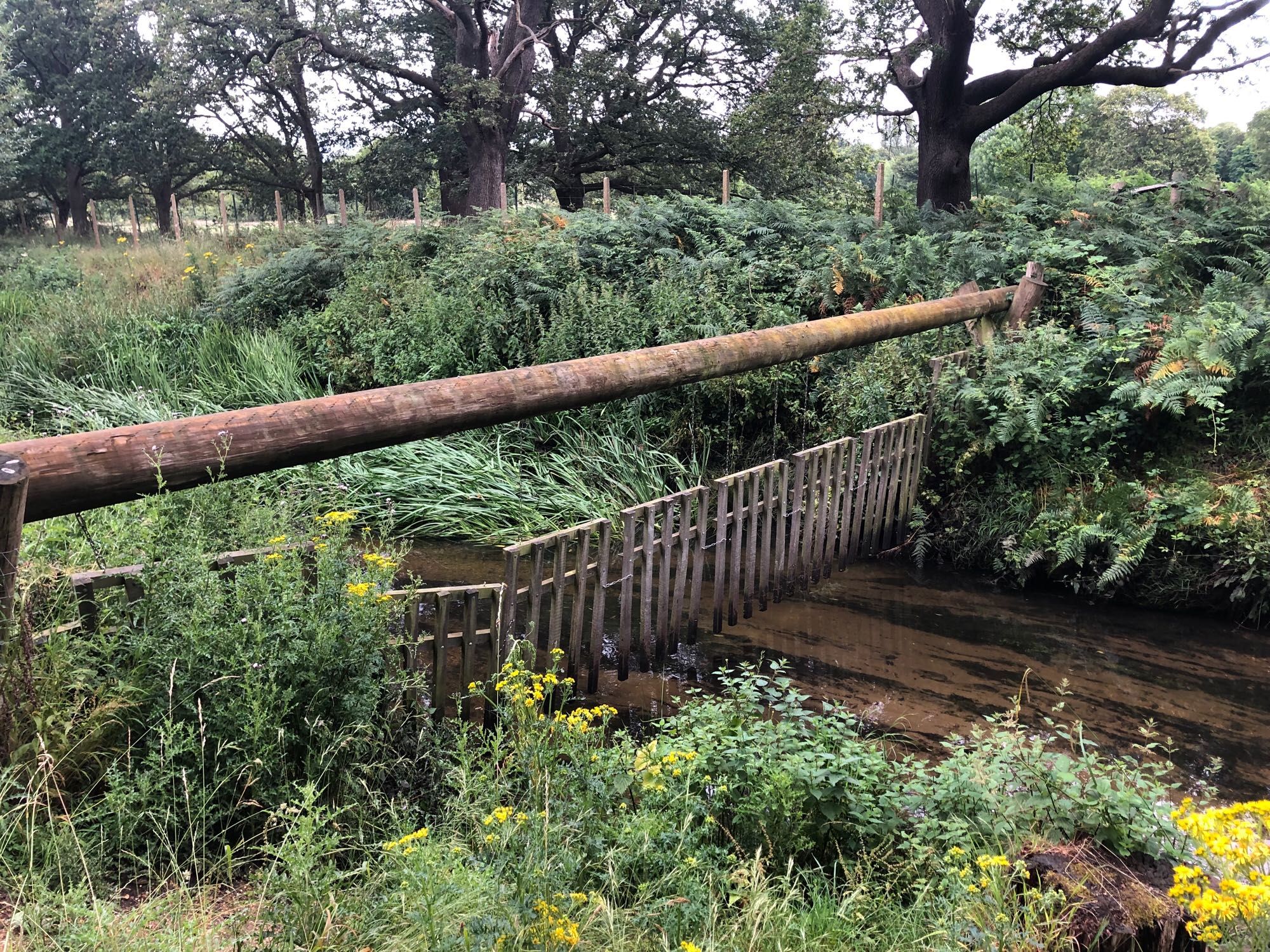 Barrier set up across river before some natural meandering features