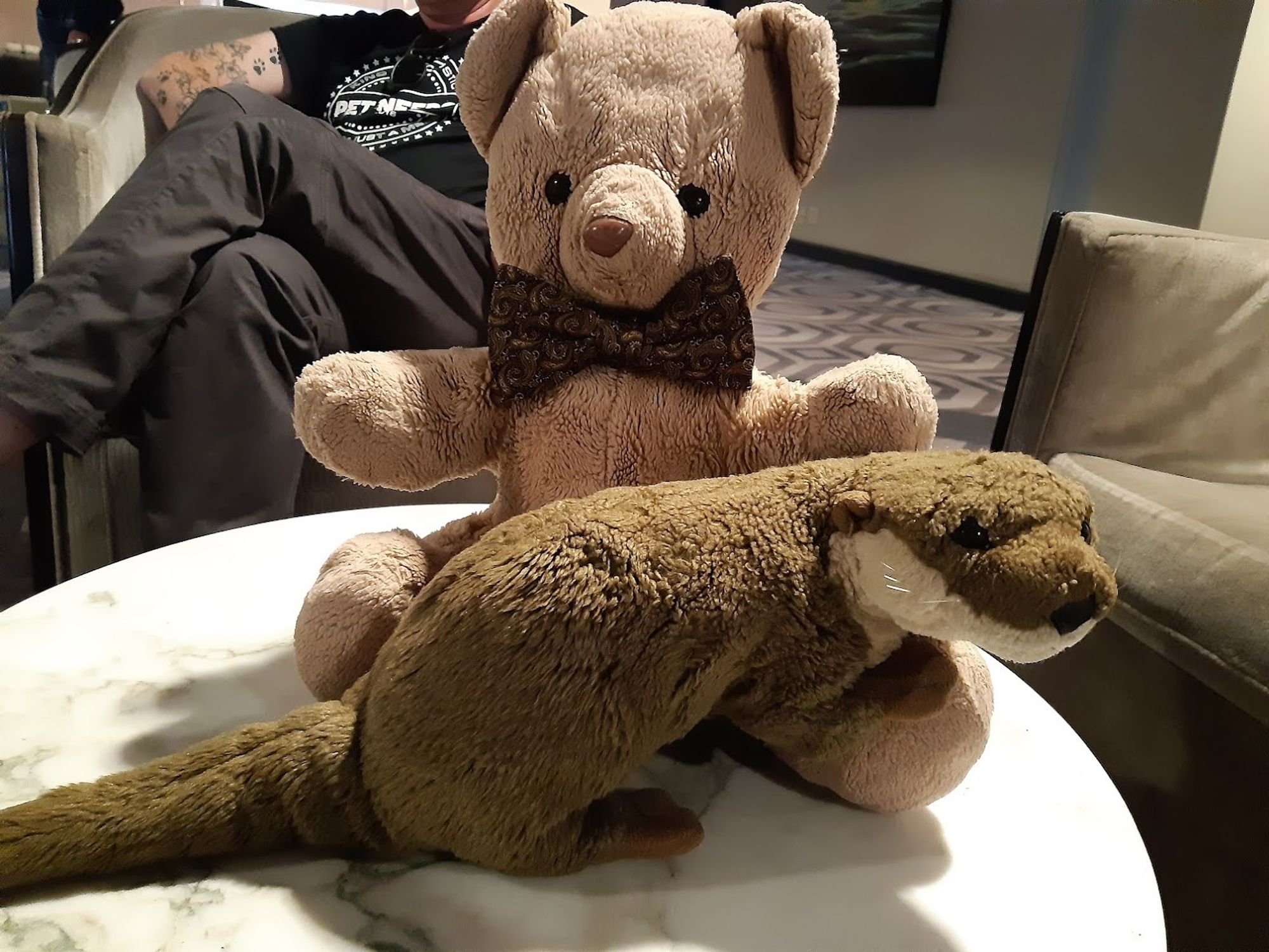 A large brown bear in a bowtie, and a medium otter sit on a marble table in a hotel conference center lobby. Both are amazed that the travel gods managed things perfectly for them to be in the same place at the same time (especially amazing as it was neither of their hometowns, or even close to their hometowns!)