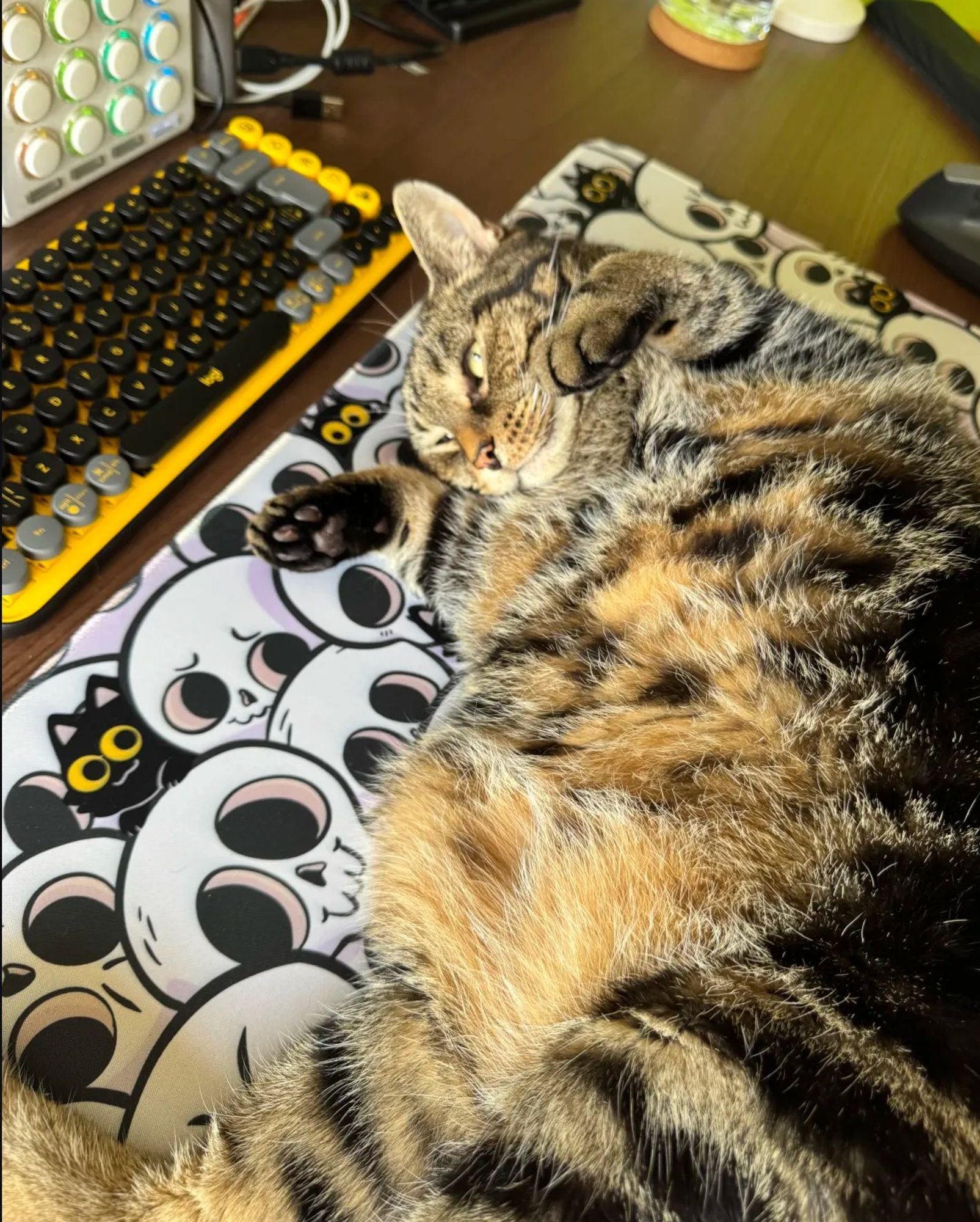 A large deskmat with an illustration of small black cats hanging out on big skulls is obscured by our tabby cat Pixel, who is rolling about on it.