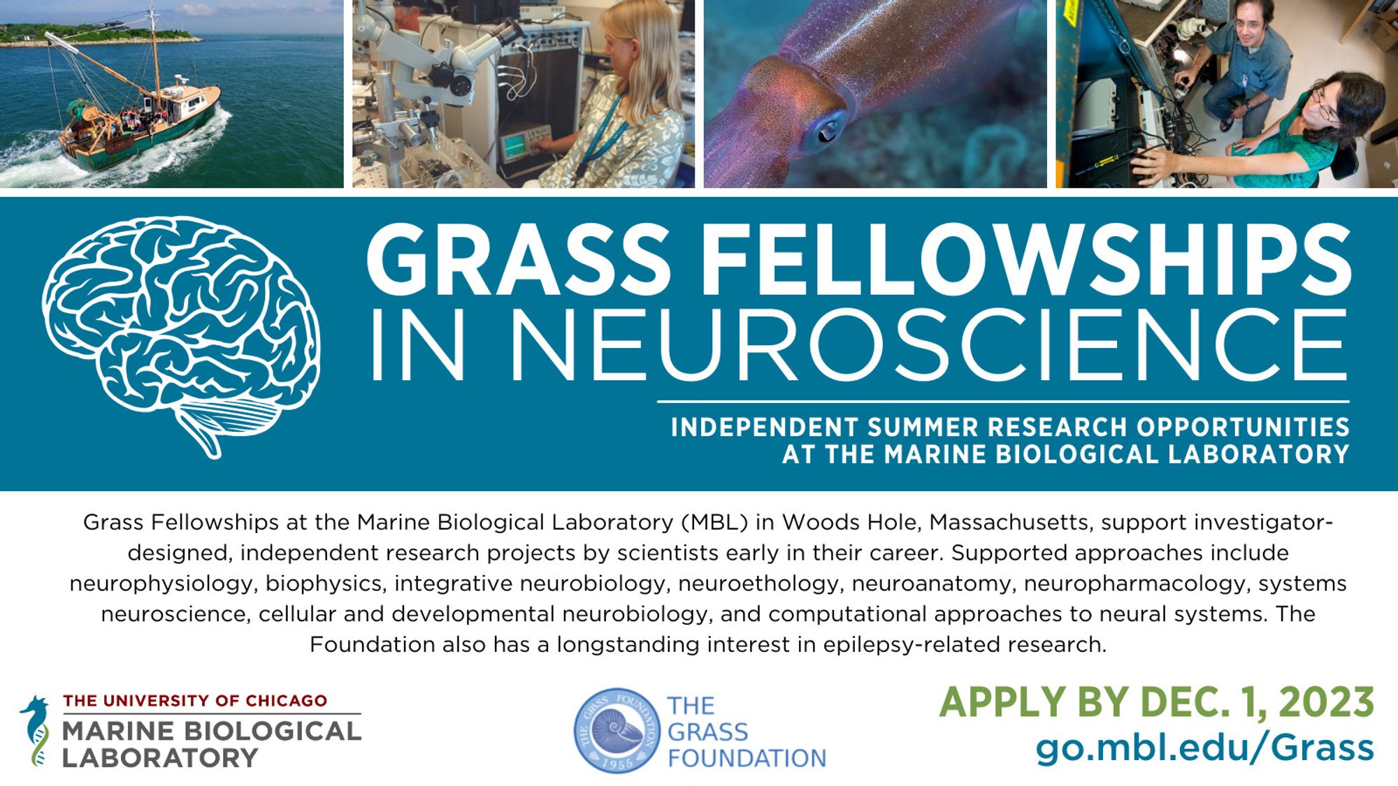 Grass Fellowships in Neuroscience - Independent summer research opportunities at the Marine Biological Laboratory. Apply by Dec. 1, 2023. go.mbl.edu/Grass