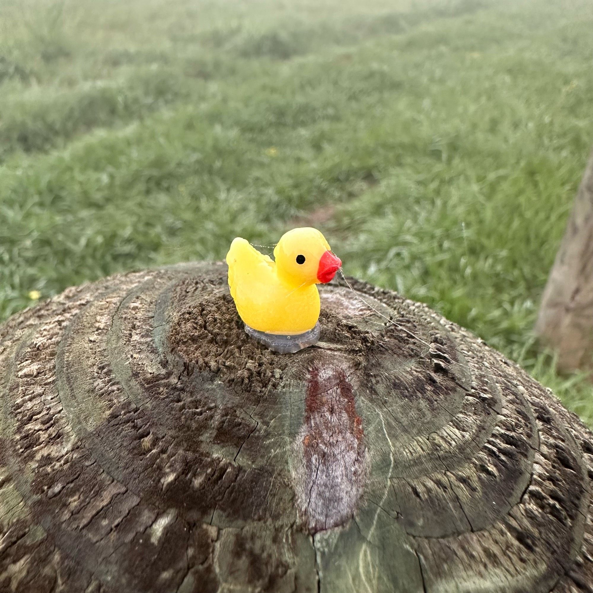 A tiny plastic duckling glued to the top of a wooden post