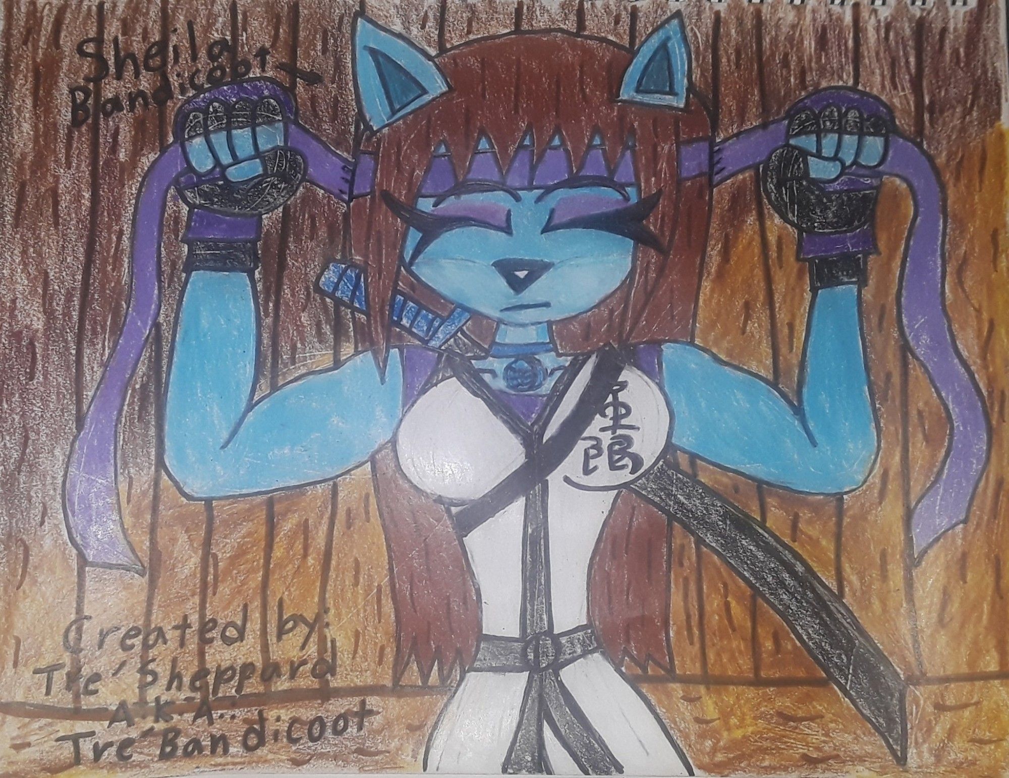 "Once Sheila Bandicoot has been trained a lot in her Master Melvin Bandicoot's dojo, she tried her Purple Martial Arts headband, and she is ready for the adventures, saving the world, defending and protecting the innocent people and creatures, entering the World Wide Martial Arts Tournament, and most of her true goal: she is ready to fight her arch-enemy: Black Knight; leader of the Dark Clan to kill him to avenge her parents' deaths to end her nightmare from her most horrific tragic darkest past that scarred her for life."