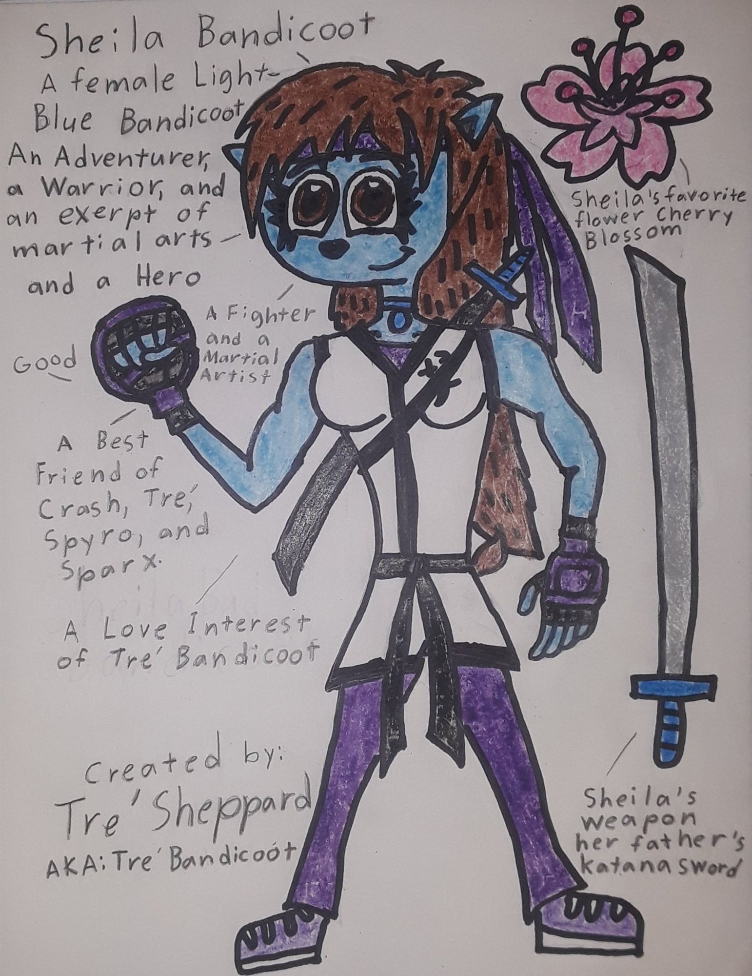 BIO INFORMATION:

Full Name: Sheila Sakazaki Bandicoot.

Species: Light-Blue Bandicoot.

Gender: Female.

Alliance: Good.

Status: Alive.

DOB: 12/24/1993

Birthplace: Light-Blue Bandicoot Clan village of Japan. 

Home: Wumpa Island. 

Likes: Friends, Her parents, Martial Arts, Fighting, Practicing Martial Arts, Adventures, Chinese and Japanese culture, and peace. 

Dislikes: Her Parents' deaths, Black Knight (for murdered her parents), the Dark Clan, Extreme Bandicoot (ex-boyfriend/ rival), her friends' in danger, her friends' deaths, and Sparx's annoyance and stupidity. 

Family: Hakoda Bandicoot (Father, deceased), Kya Bandicoot (Mother, deceased), Crash Bandicoot (Adoptive father), Puku the Red Panda (pet).

Allies: Crash Bandicoot, Tre' Bandicoot, Spyro, Sparx, Cynder, Melvin, and more.

Enemies: Black Knight (hated arch-enemy), Killa Bandicoot, Extreme (rival), The Dark Clan, Rex, Dr. Neo Cortex, Uka Uka, Gnasty Gnorc, Ripto, the Sorceress, and Malefor

Fighting Styles: Karate