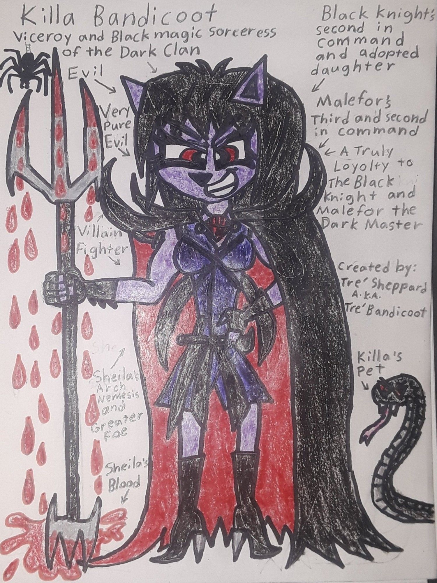 BIO INFORMATION:

Full name: Oroku Killa Bandicoot.

Aliases: Mistress Killa Bandicoot .

Species: Light-Purple Bandicoot (Purple Dragon hybrid)

Gender: Female

Age: 25

DOB: 10/31/1986

Birthplace: Japan

Home: The Dark Clan HQ of the Mountain of Wumpa Island. 

Family: Unnamed Biological parents (deceased), the Black Knight (adoptive father), and Malefor the Dark Master (biological grandfather/ Master)

Allies: the Black Knight, Extreme Bandicoot, the Dark Clan, Malefor the Dark Master, Gaul the Ape King (formerly), Dark Apes (formerly), Uka Uka, Dr. Neo Cortex (formerly), Cynder (formerly), and more.

Enemies: Team Bandicoot Dragon Heroes, Sheila Bandicoot, Crash Bandicoot, Tre' Bandicoot, Spyro the Dragon, Cynder the Dragon, Team Bandicoot Dragon Heroes' Allies, and more. 

Likes: Evil, Chaos, Worshiping Malefor, Loyalty to Malefor and her father: Black Knight, Destruction.

Dislikes: Interference, peace, incompetence minions, people stands in her way, Team Bandicoot Dragon Heroes