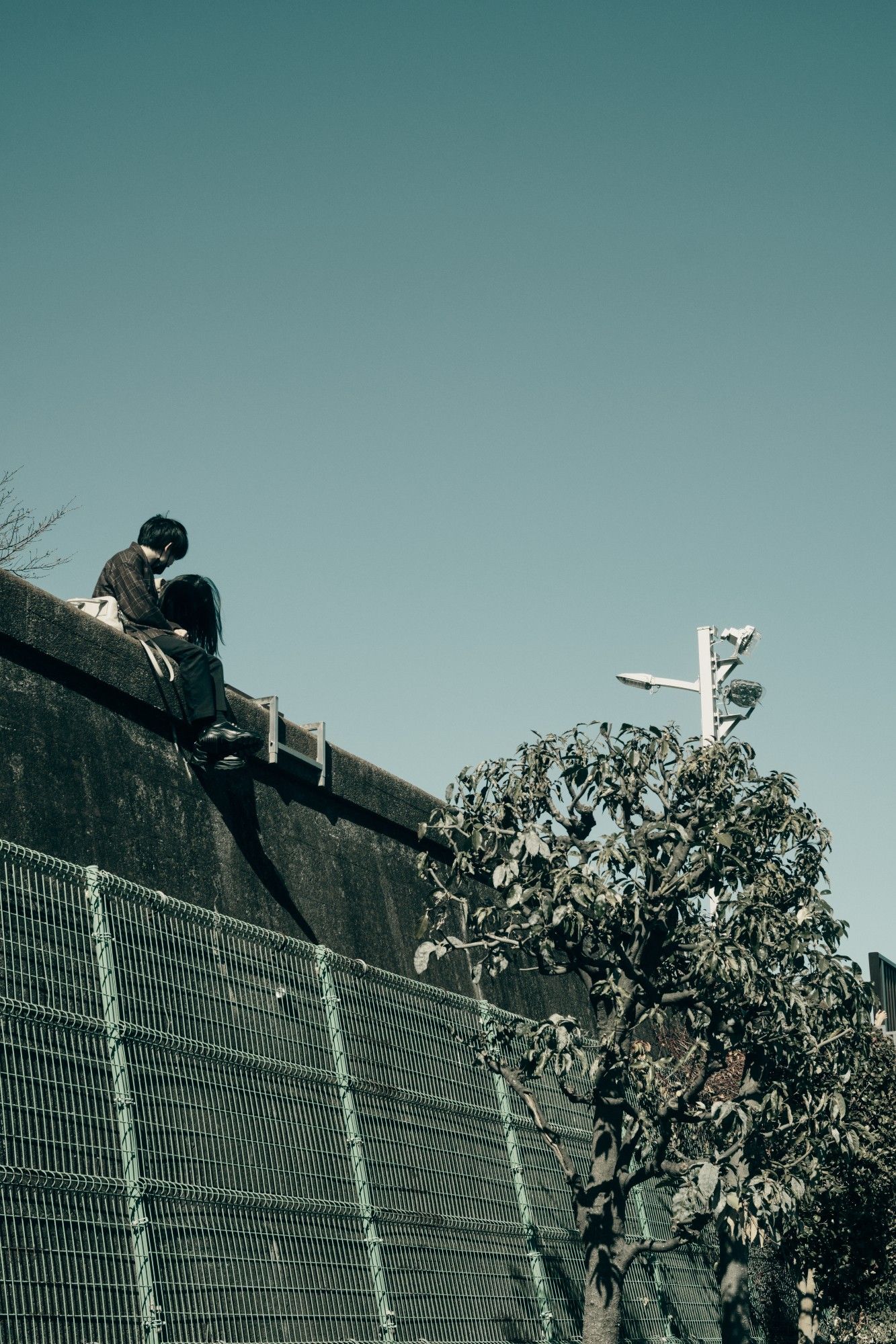 Tokyo. 35mm, f8, 1/640 sec