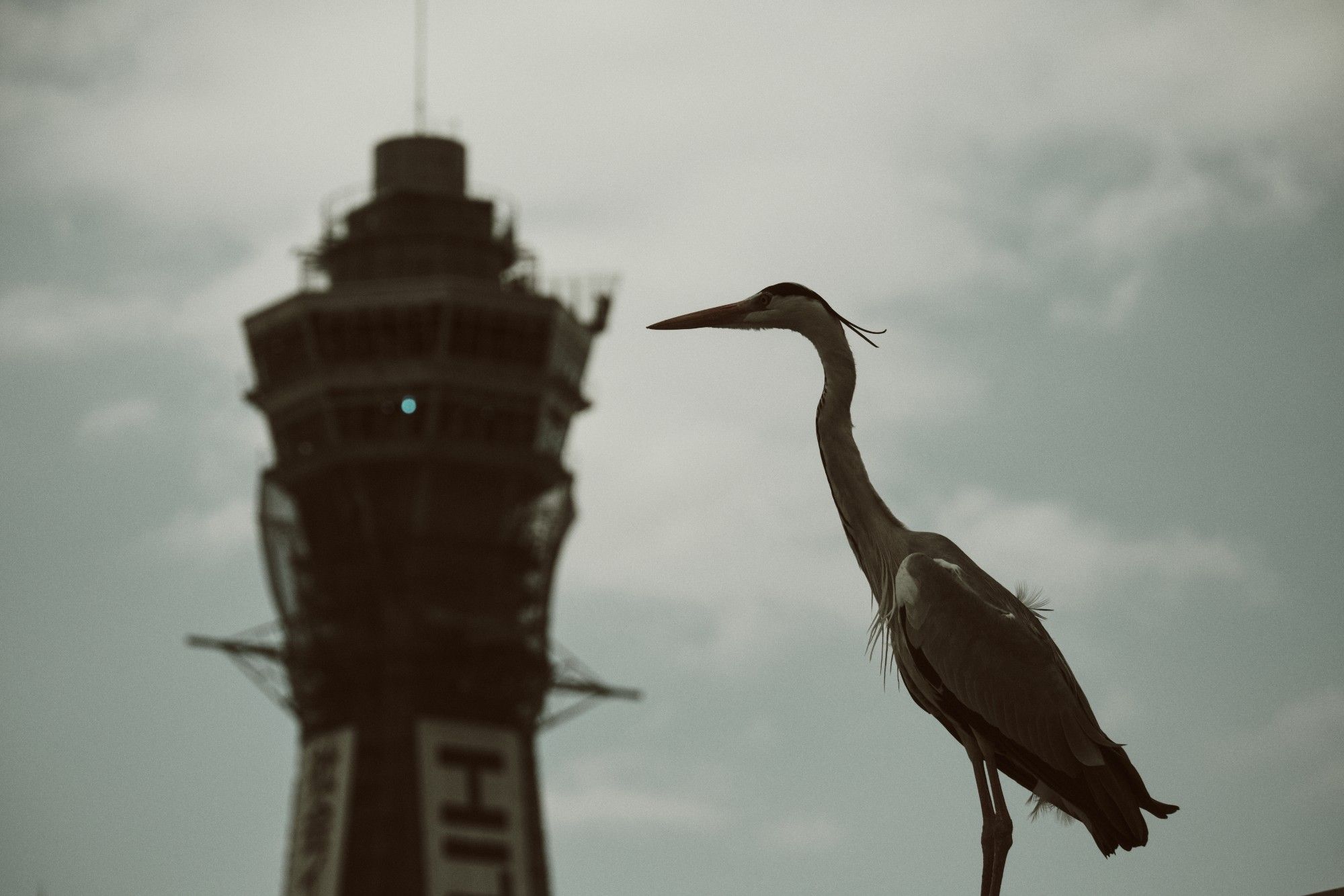 Osaka. 120mm, f6.4, 1/2500 sec