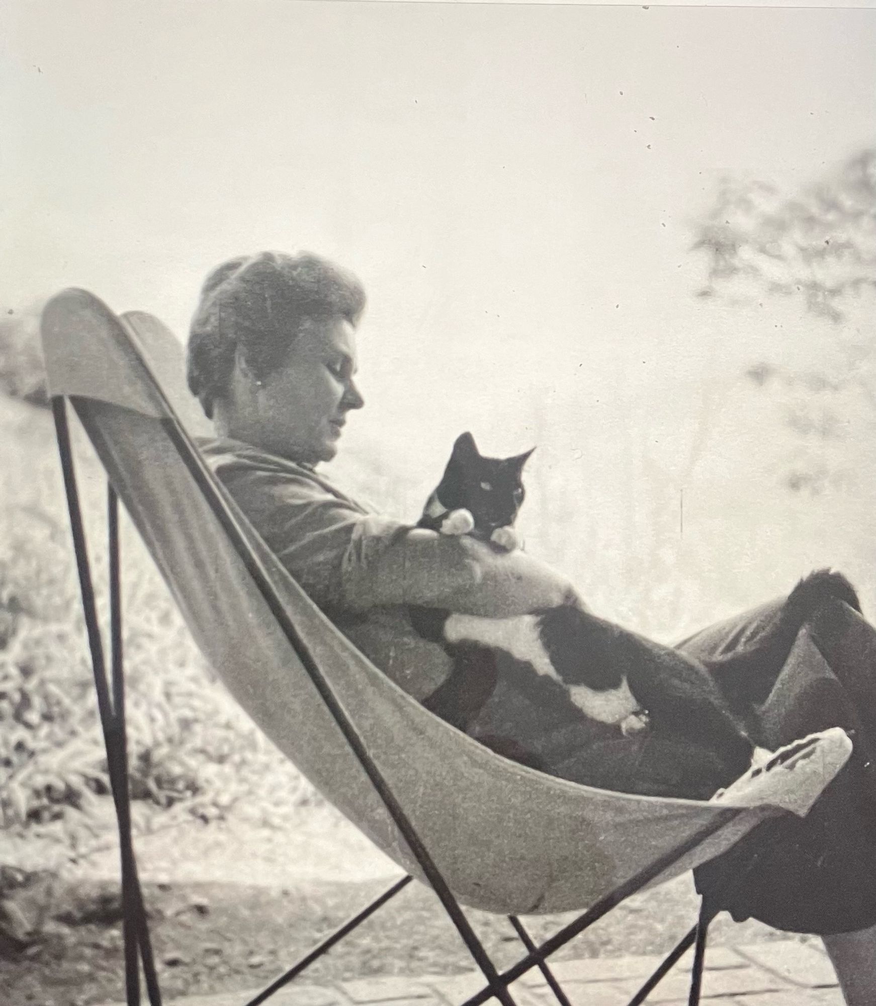 Elizabeth Bishop in deck chair holding a cat