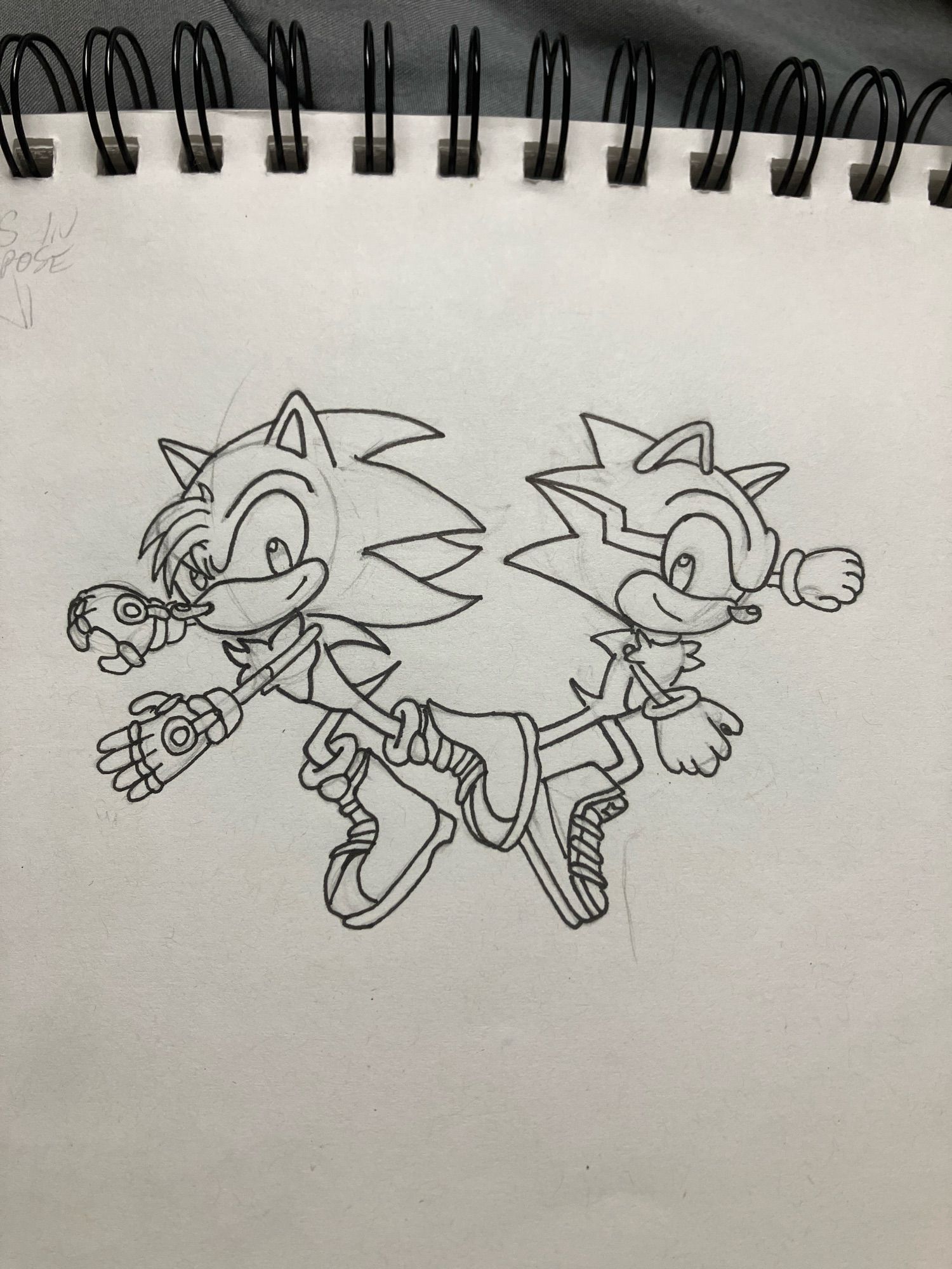 ChristheHedgehog (Christianvega64 / left) & KeiphtheTenrec (KeithStrongshadow / right)