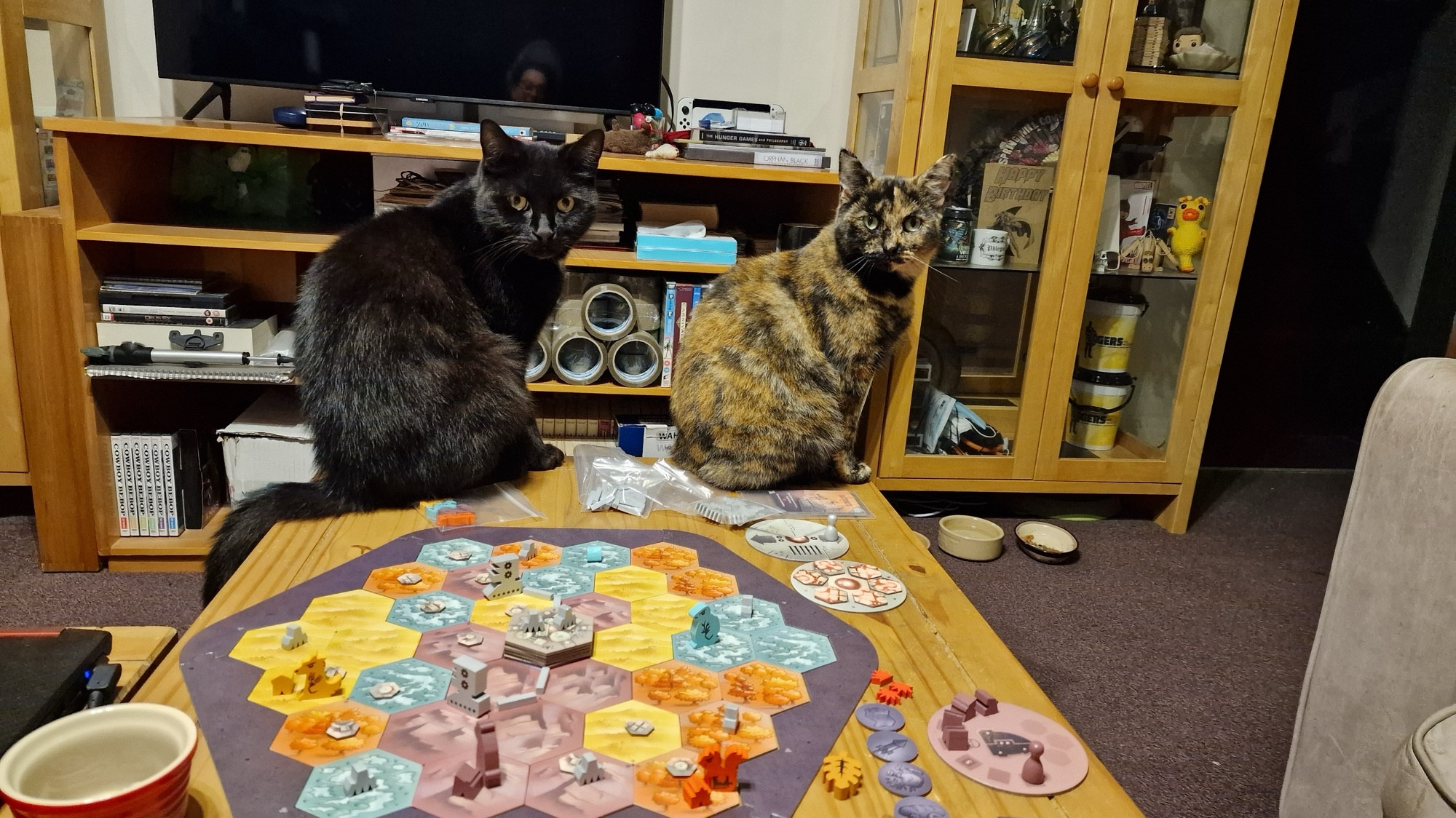 Black cat and tortie cat both sitting on edge of a coffee table with a board game laid out on it. Both looking towards camera.