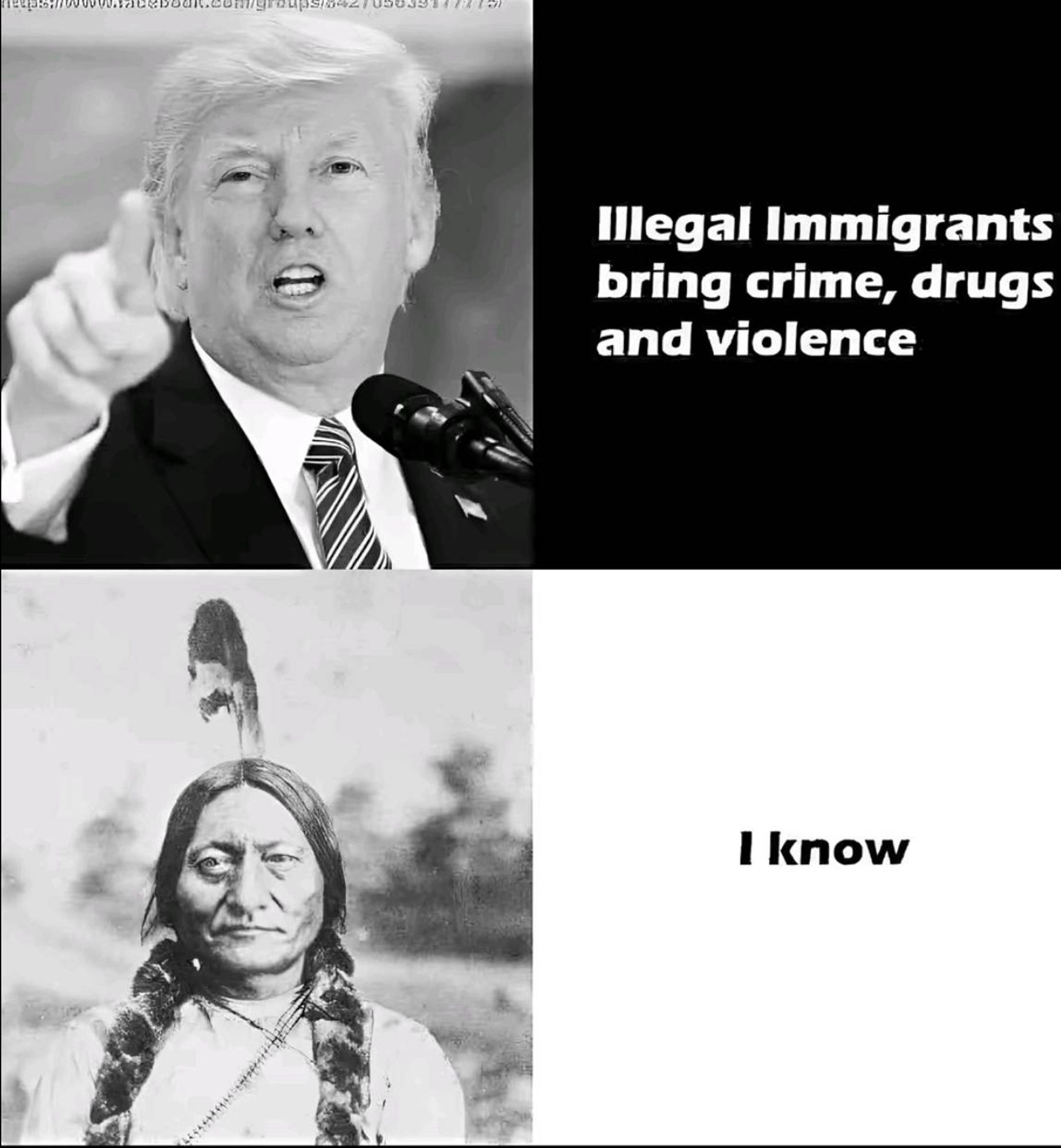 Zwei geteilte Fotos (links übereinander) mit jeweiligem Text (rechts).
Foto von Trump der mit ausgestecktem Finger in Richtung Fotografierendem zeigt. Text dazu: Illegal Immigrants bring crime, drugs and violens. 
Darunter ein Bild von Sitting Bull – ein Häuptling amerikanischer Ureinwohner. Sein Statement: I know.