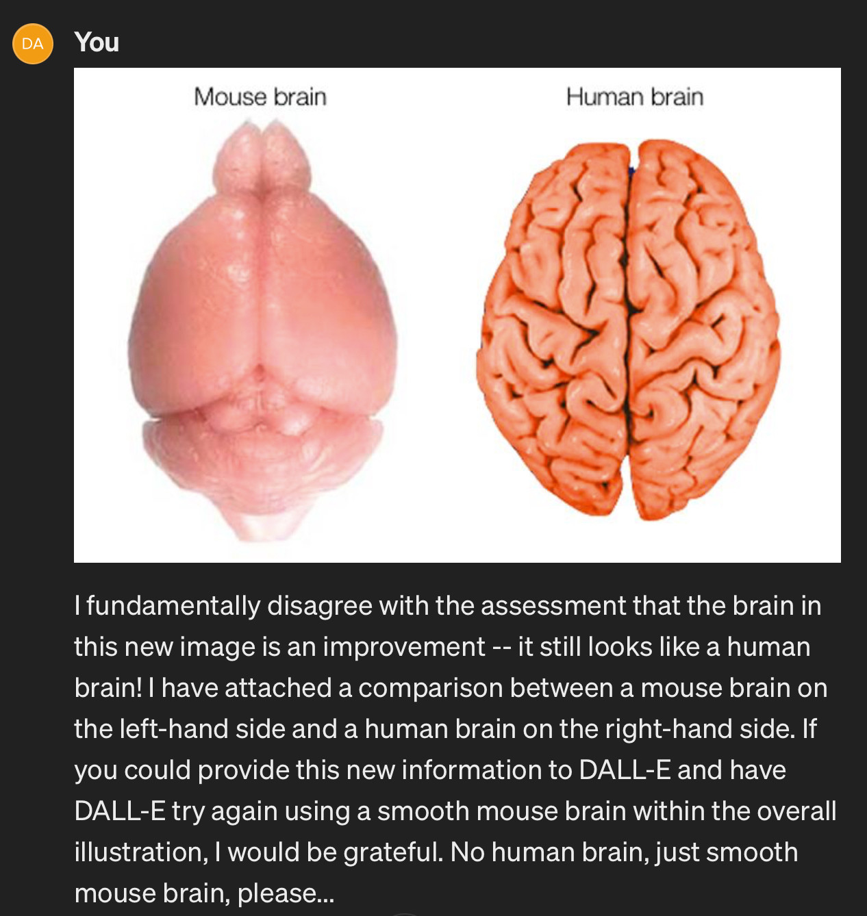 David is horrified at the human brain image and send a comparison between a mouse brain and a human brain in response