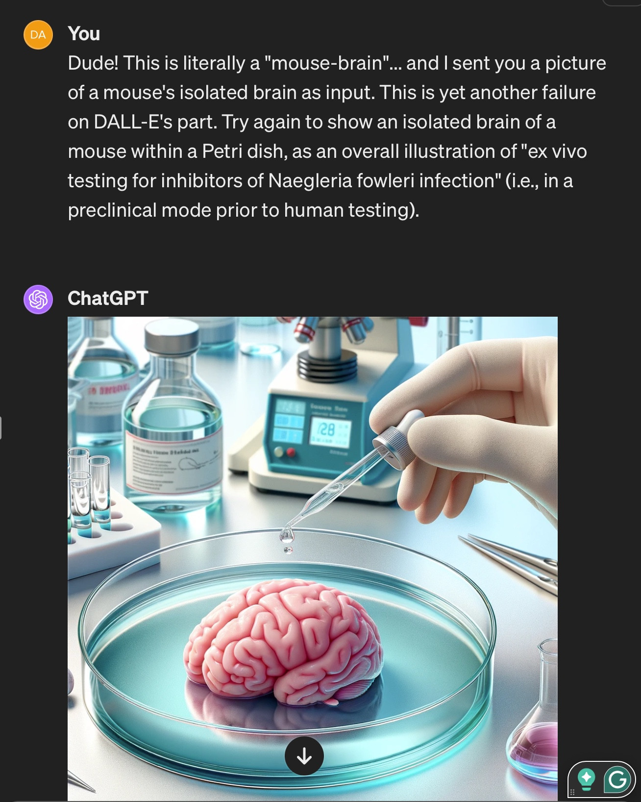 David complains and DALL-E again renders a human brain in a Petri dish