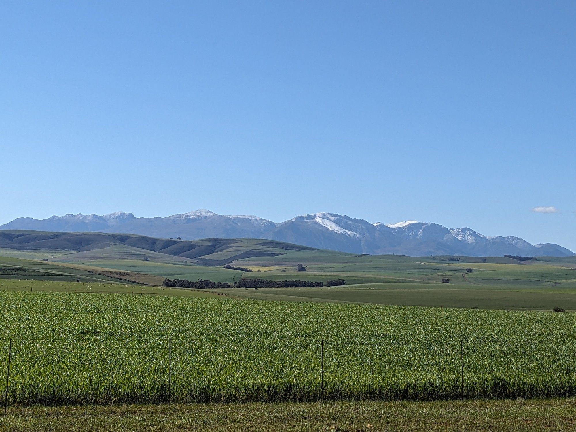 mountain views in the Western Cape