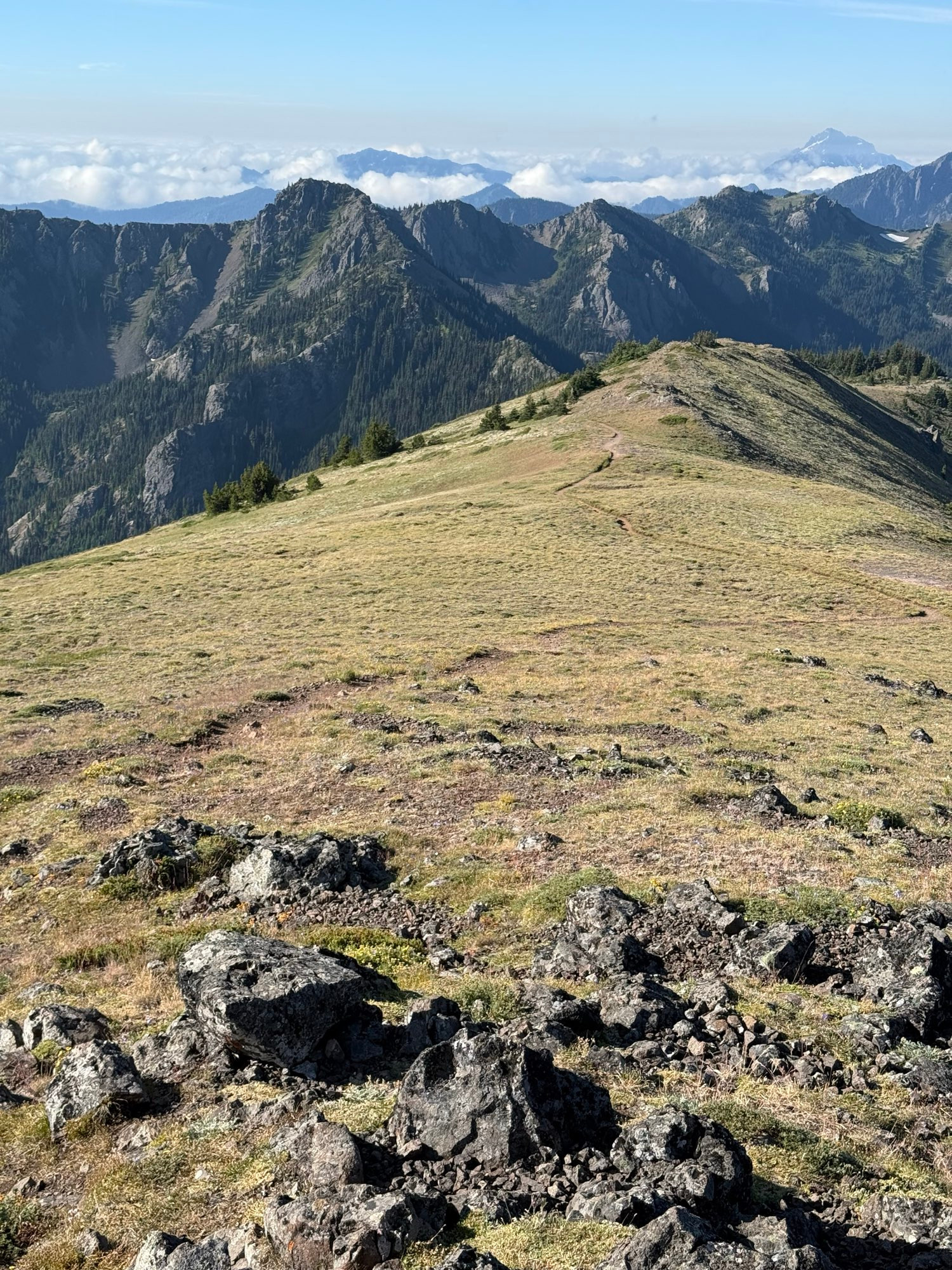 An alpine meadow stretches out before you, punctuated by a meandering path, leading to distant rocky peaks beyond. 