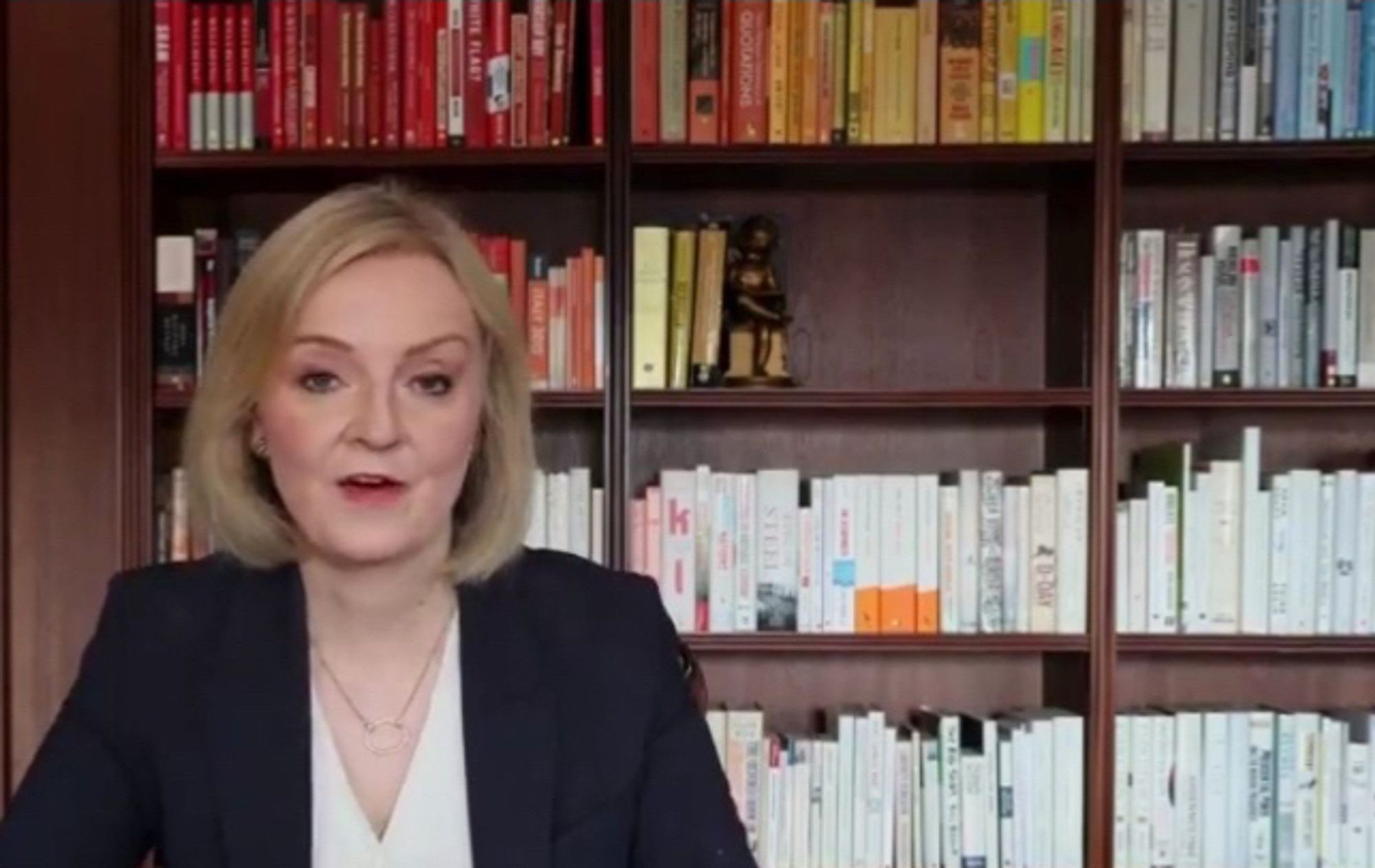 Liz Truss in front of colour coordinated book shelves