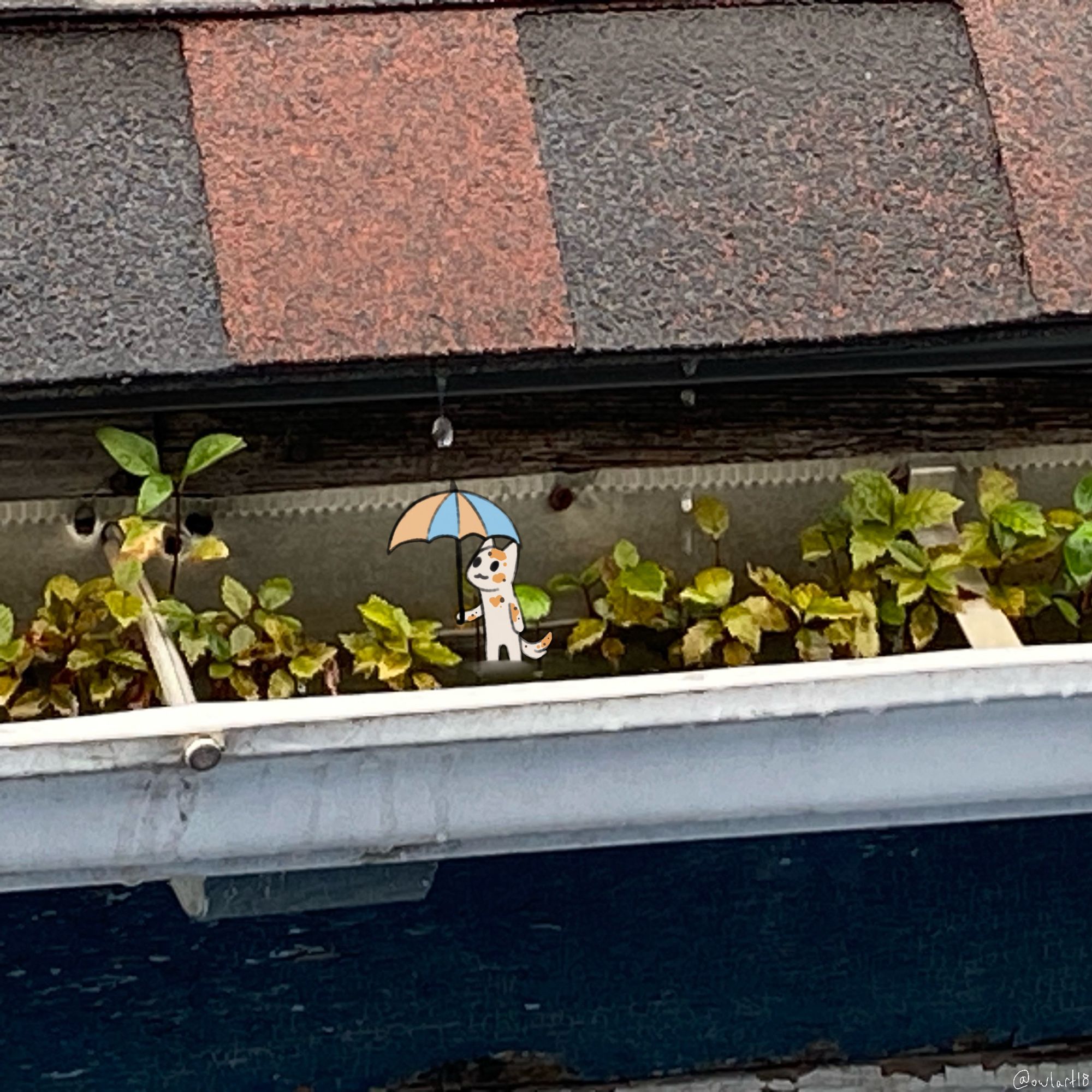 Photo of a plant filled eavestrough in the rain with a drawing of a tiny cat with an umbrella standing in it