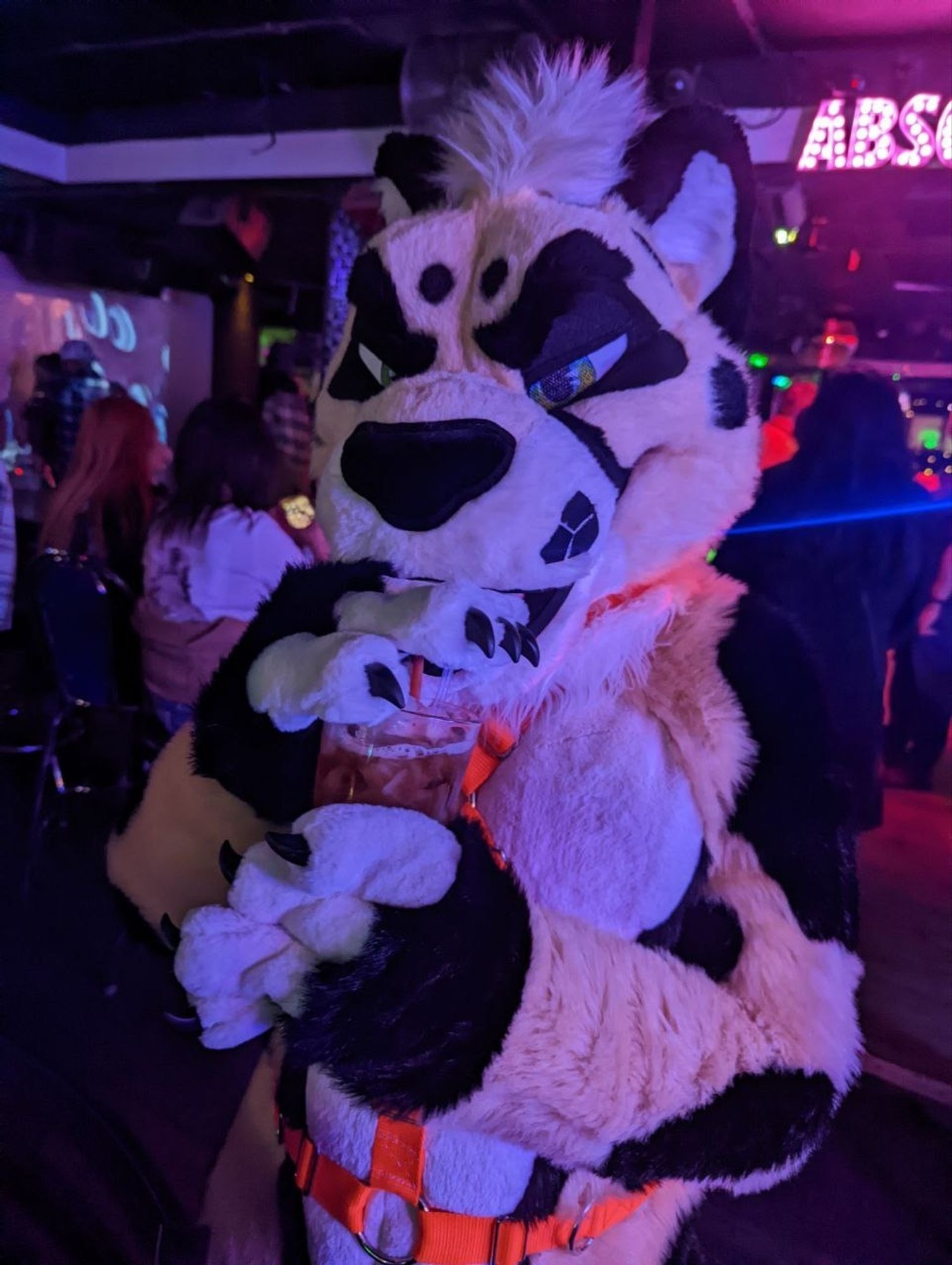 King cheetah fursuit having a drink in a bar setting