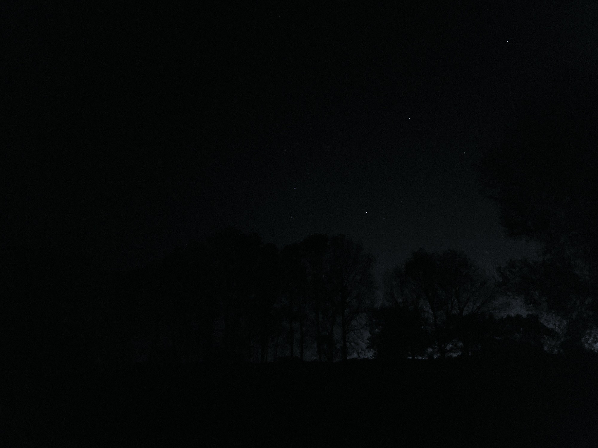 Very low contrast image of trees silhouetted against a night sky. Very faint northern lights low in the sky, some stars visible above.