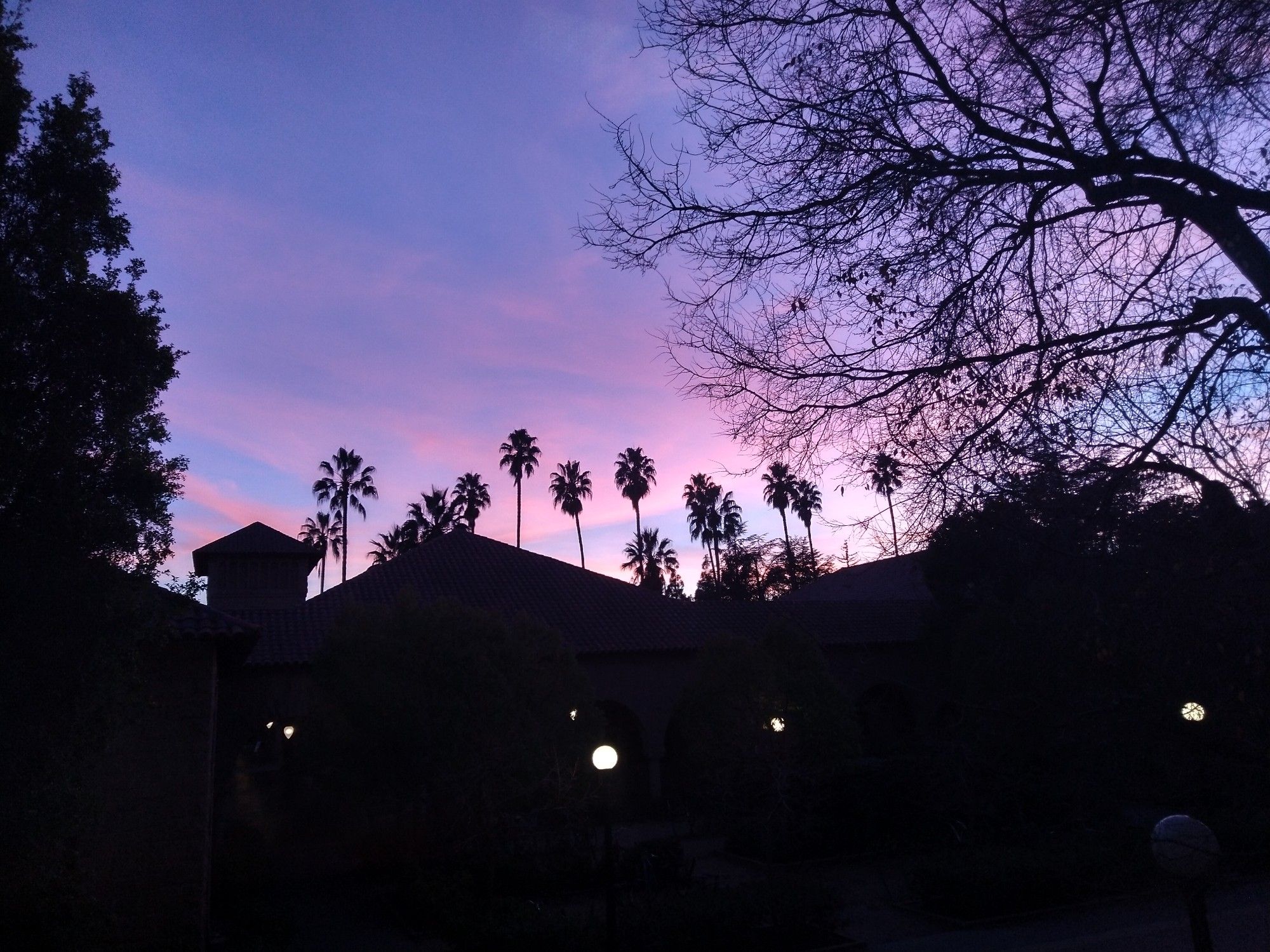 cotton candy sunset with the silhouette of palm trees on Stanford campus