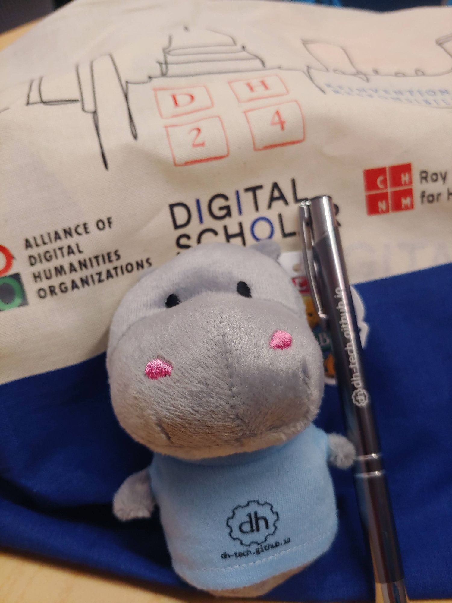 mini stuffed hippo wearing a shirt with dhtech logo