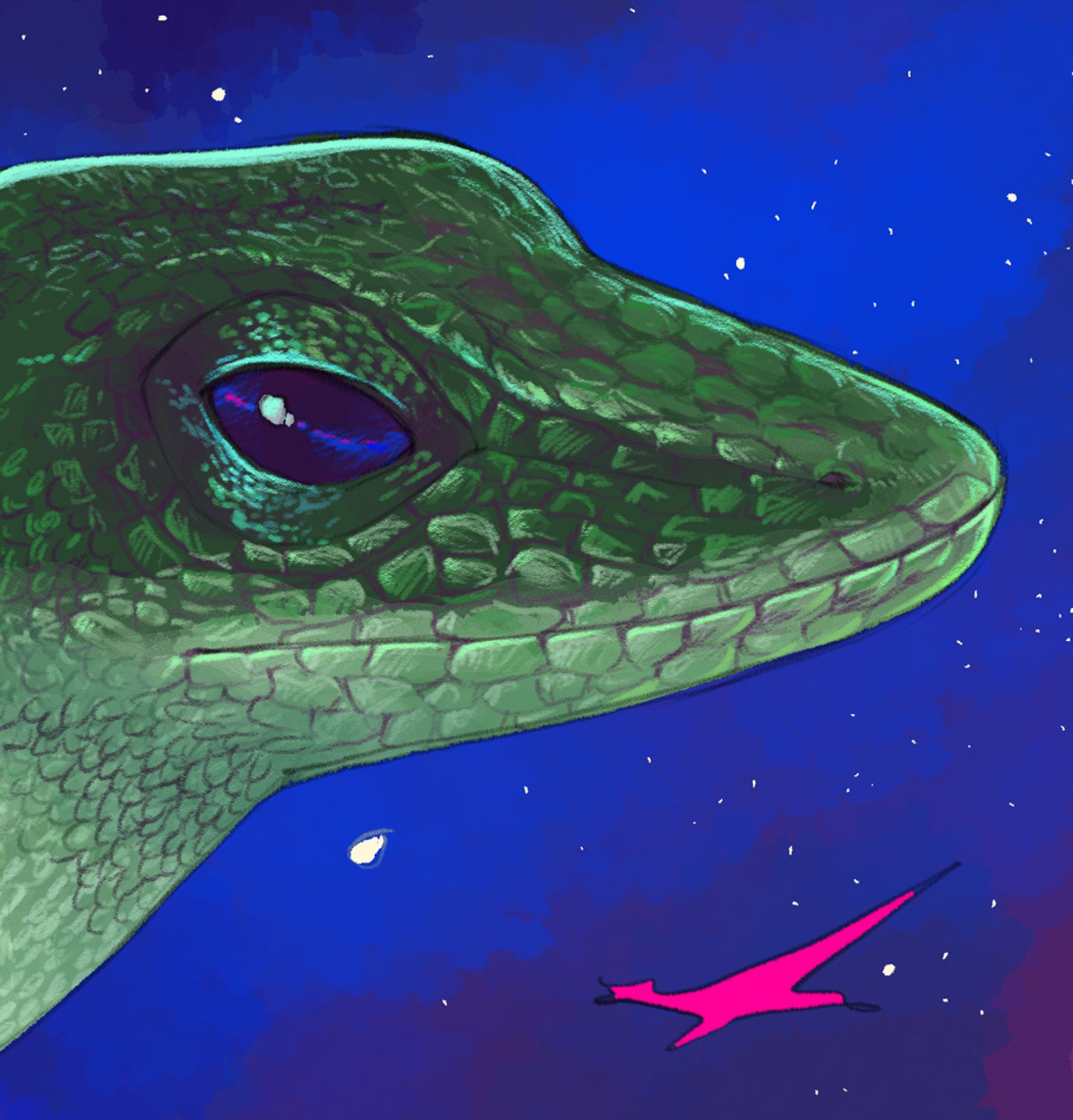 Closeup of the mock cover featuring the green anole lizard.