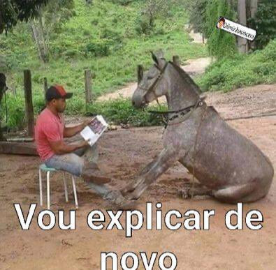 um homem de camisa vermelha, boné e calça no meio da roça sentado em um banco lendo um livro, com um burro sentado na frente

em baixo está escrito "vou explicar de novo"