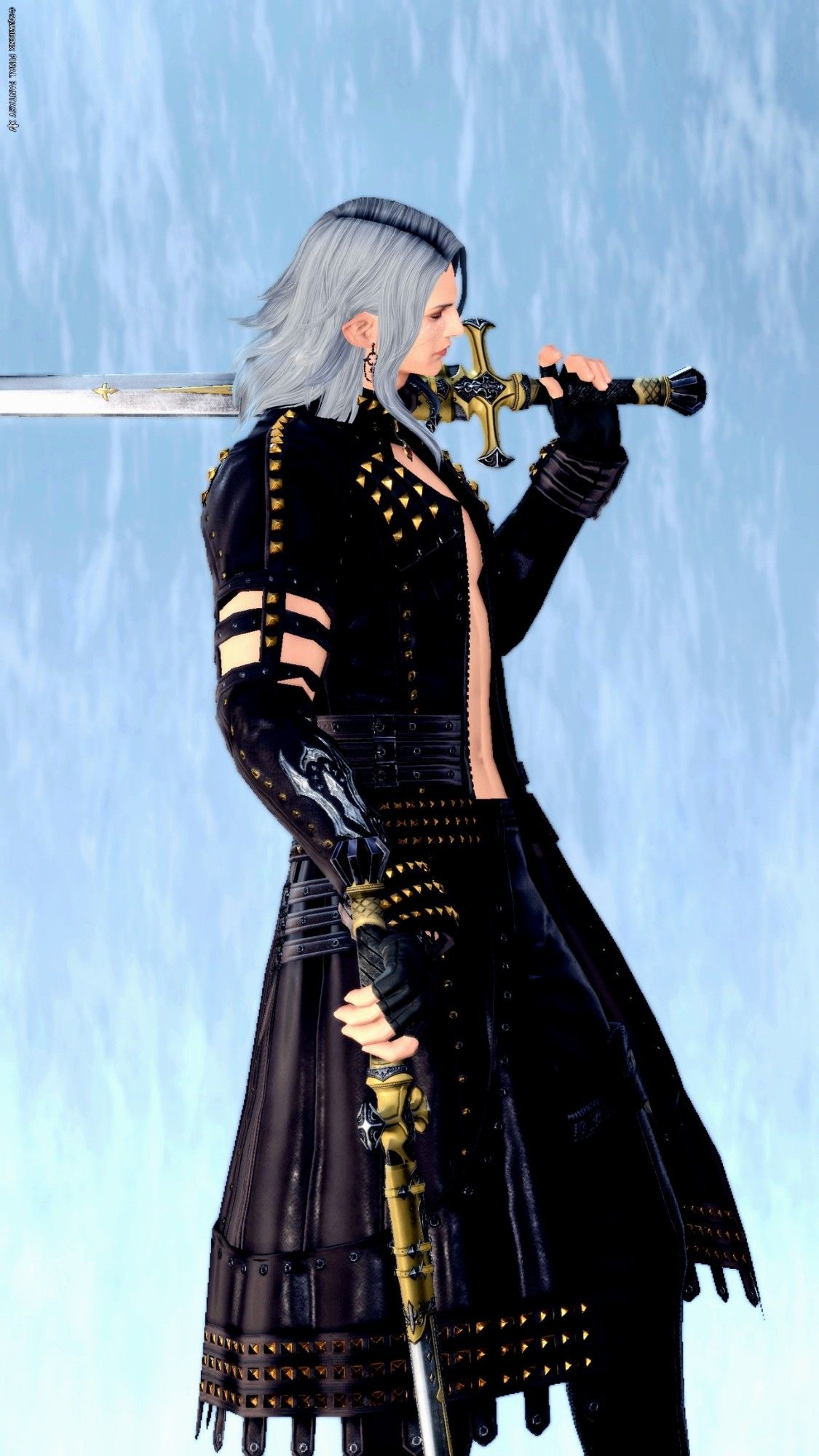 Caius standing sideways to the camera, wearing black jacket with golden rivets and holding two swords