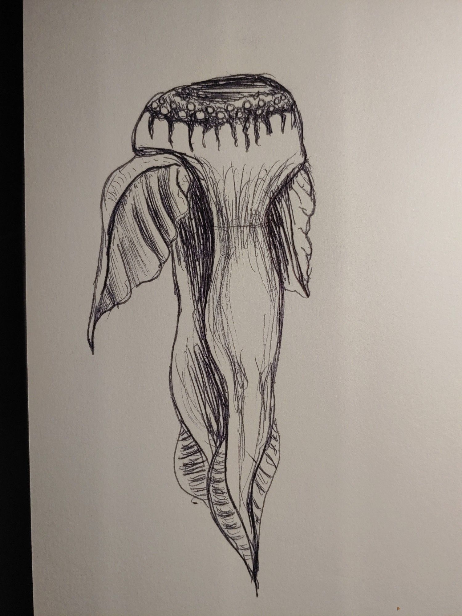 A bell-shaped jellyfish-like creature with broad fins rather than tendrils. Has a ring of small eyes at the top of the bell, in a dark region.