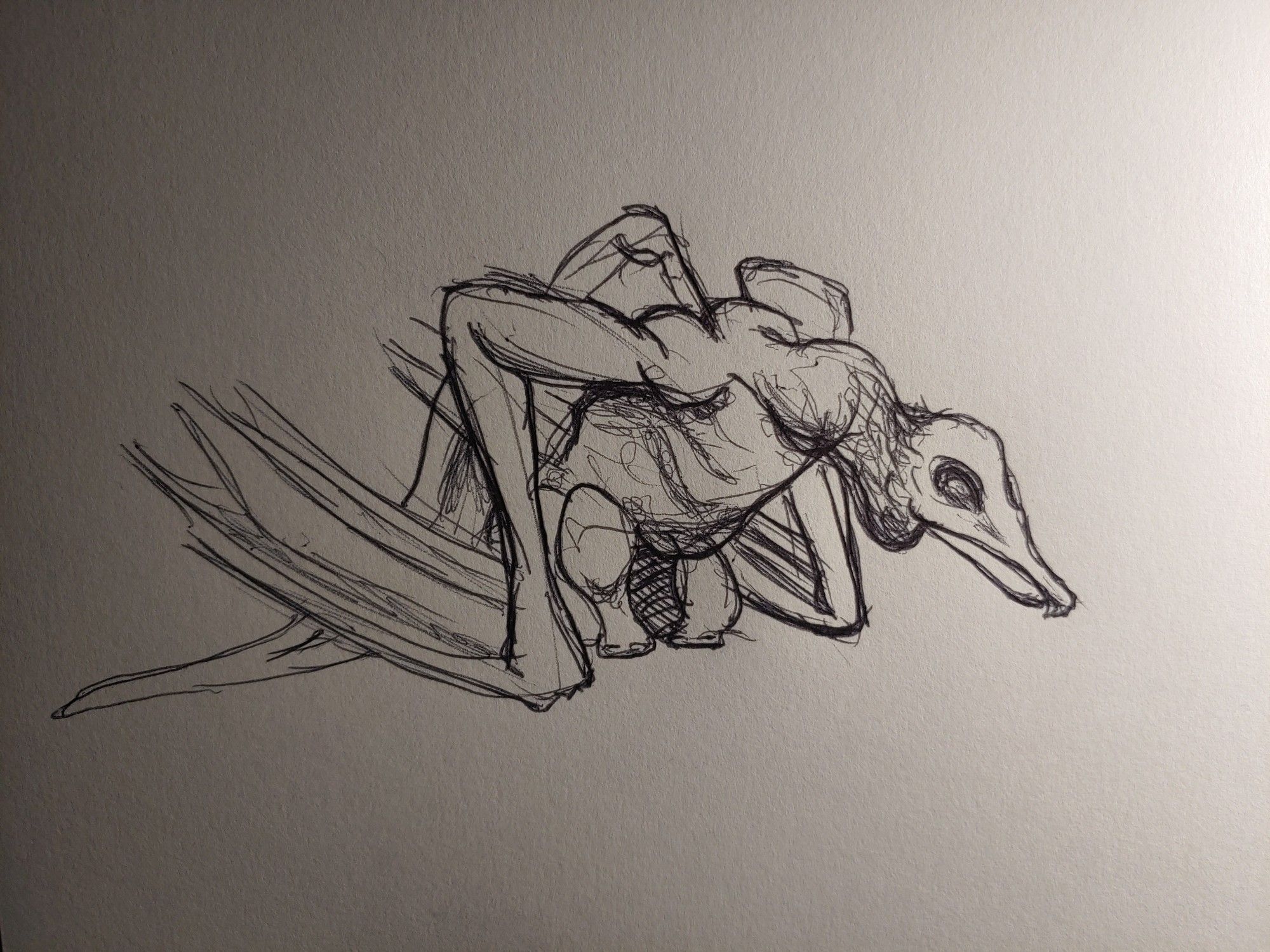 Pen sketch of a vulture-like creature with stubby sucker legs and a long back-fin like a flag.