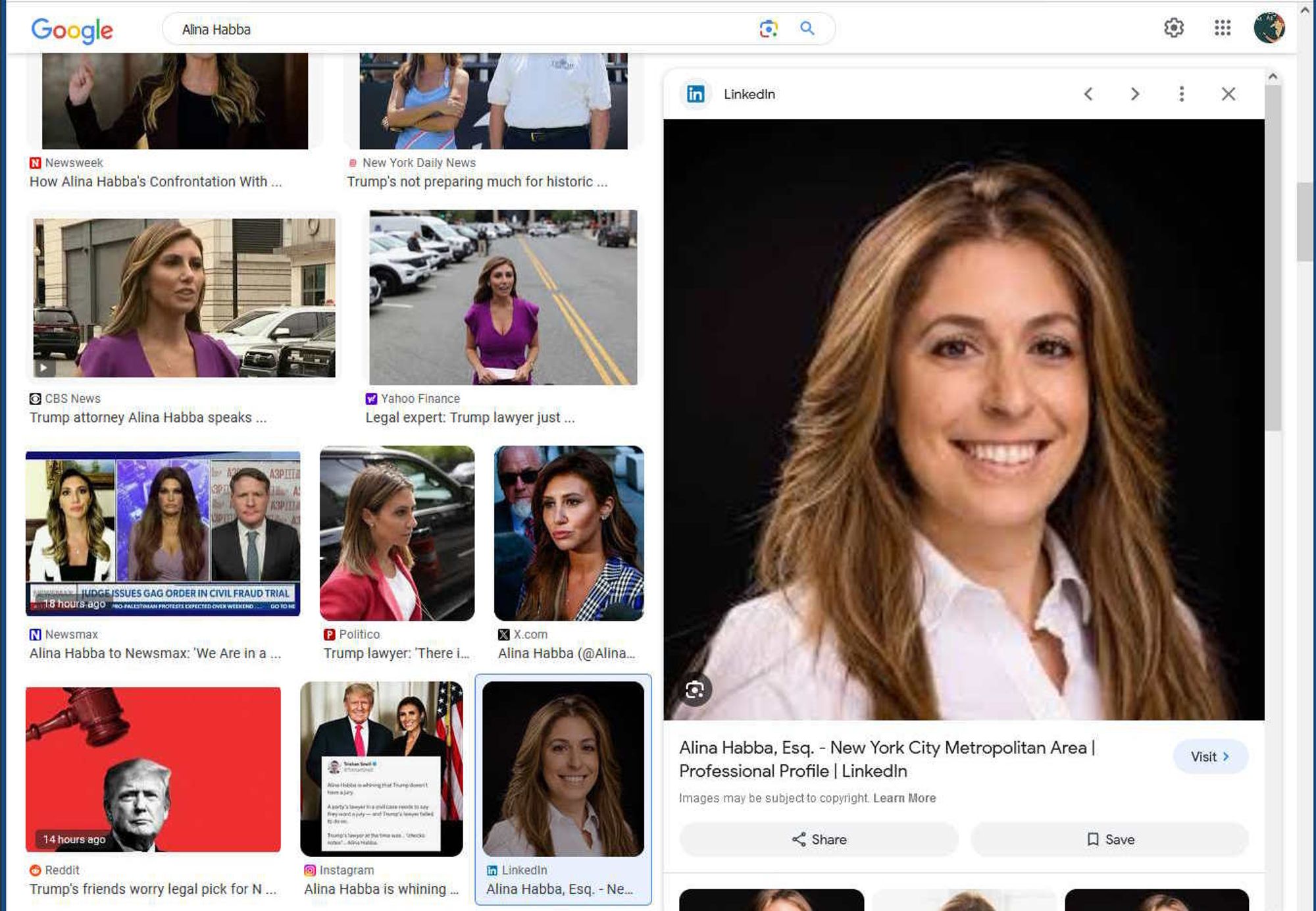 Screenshot of Google Image search, featuring an old picture of Alina Habba, before most of her plastic surgery.