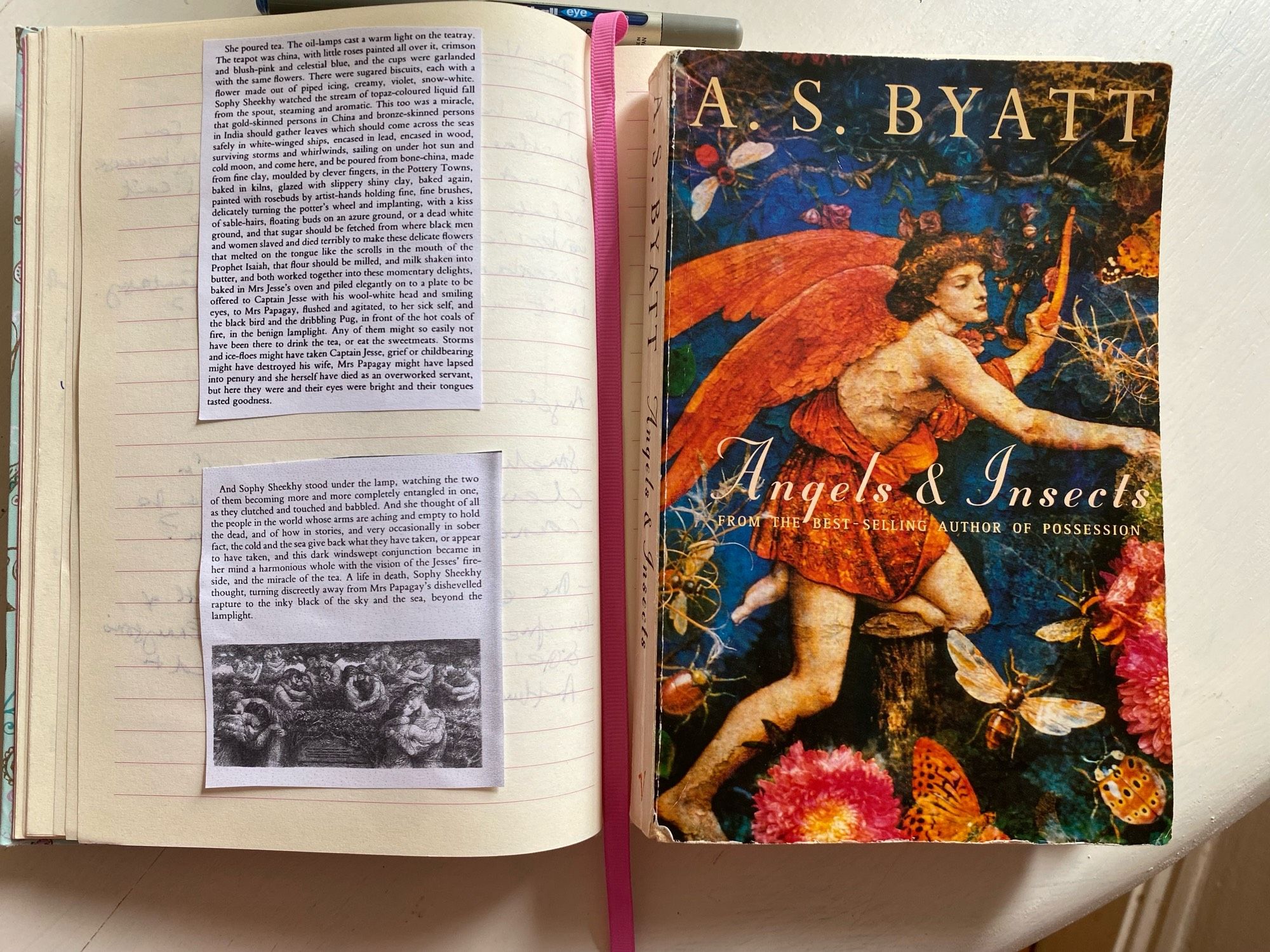 The final two paragraphs of the final two chapters of Angels & Insects by A S Byatt which I’ve photocopied into small font and pasted into my notebook