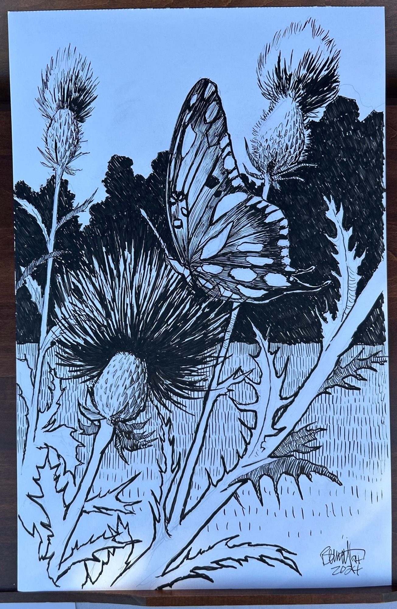 Pen and ink drawing of a butterfly and flowers