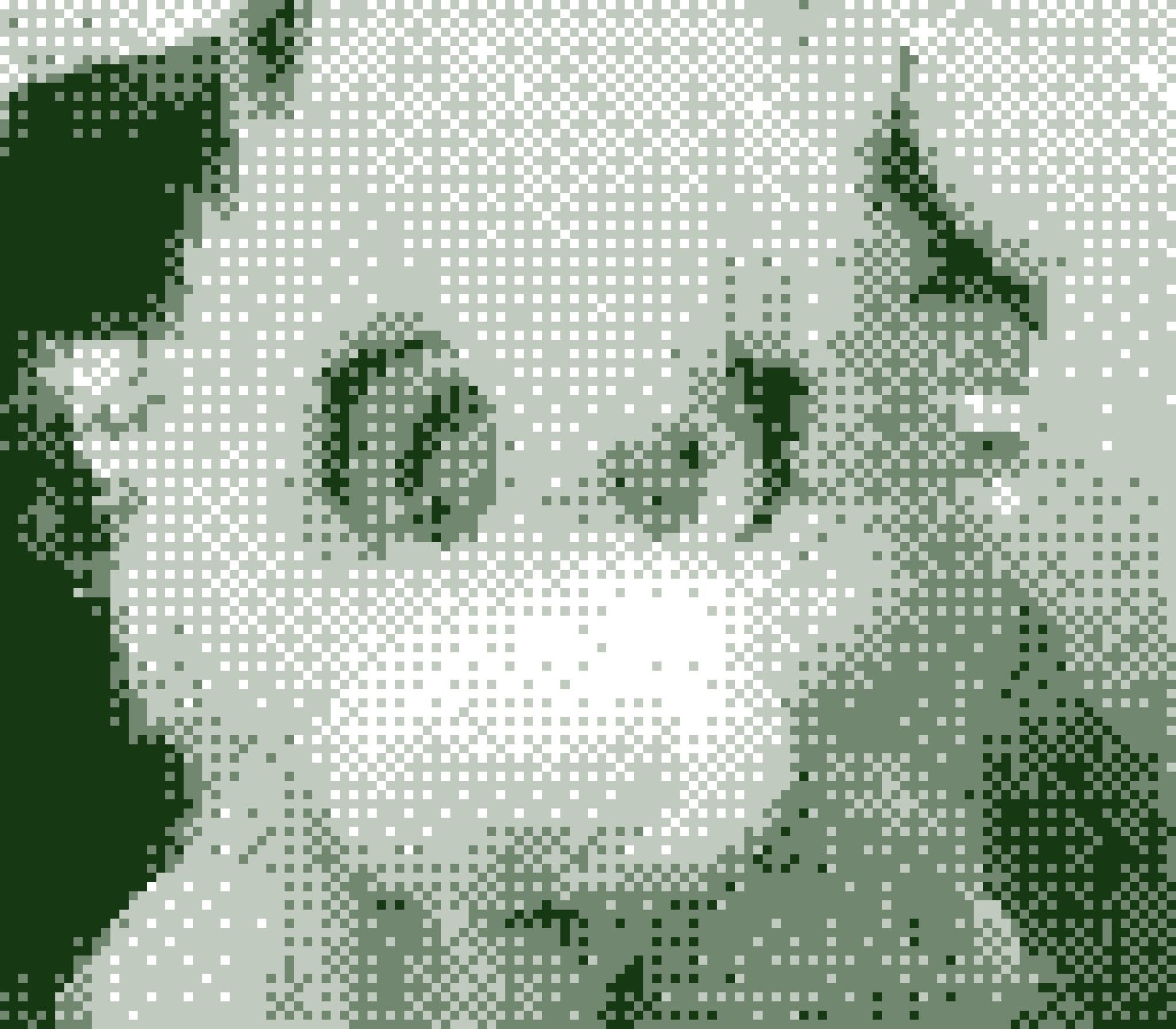 GameBoy Camera photo of Aikon