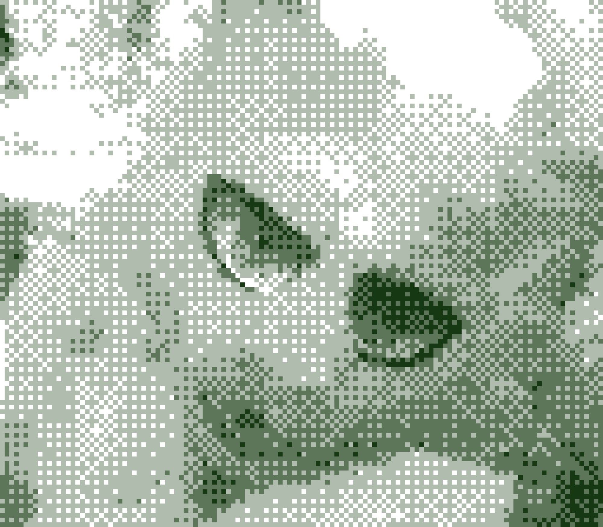 GameBoy Camera picture of Orion