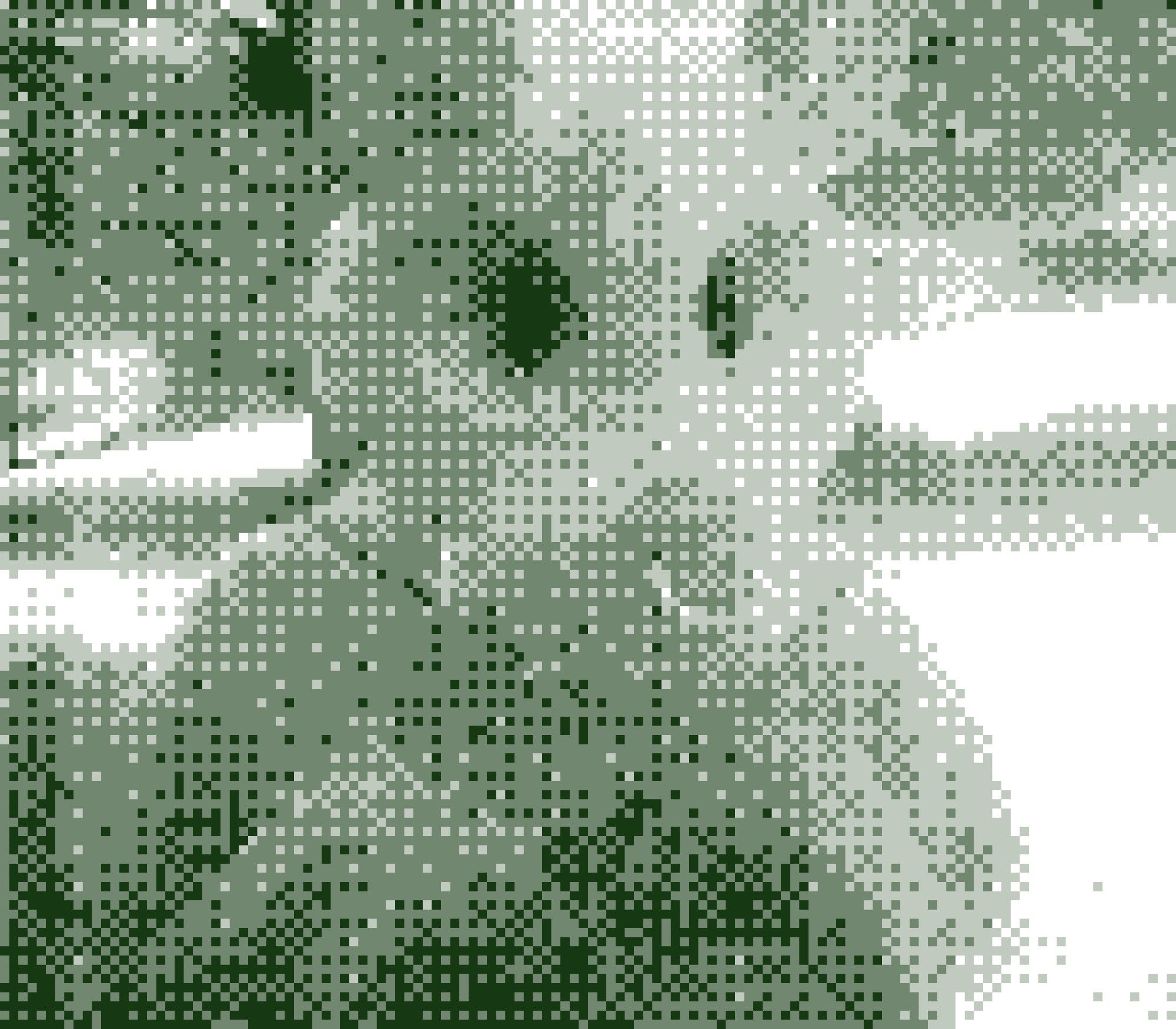 GameBoy Camera picture of Cleo