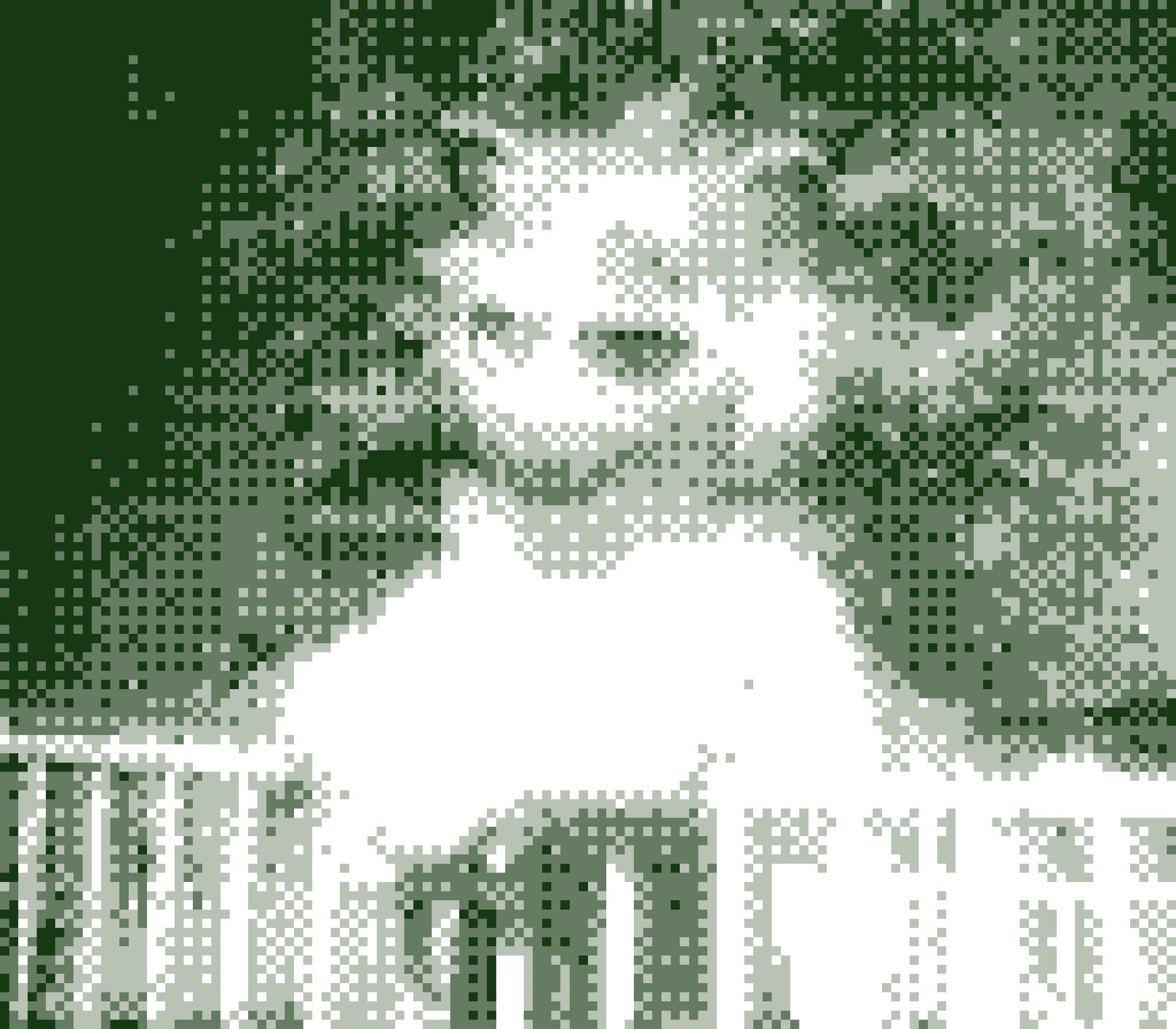 GameBoy Camera picture of Orion