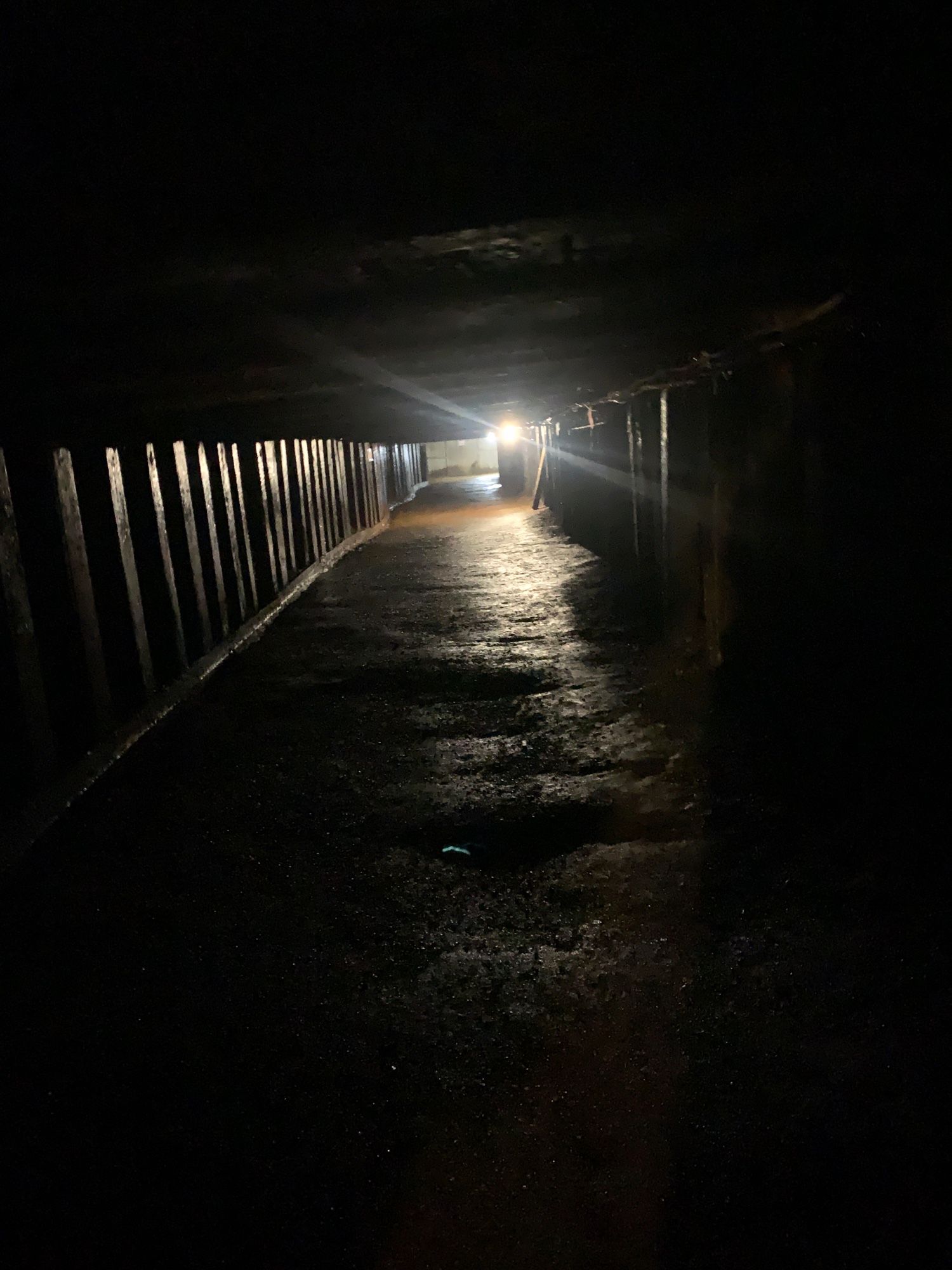 A look at where we walked into the mine. It was darkish, damp & very low - the lowest part was 48”. Imagine working in those conditions every day?