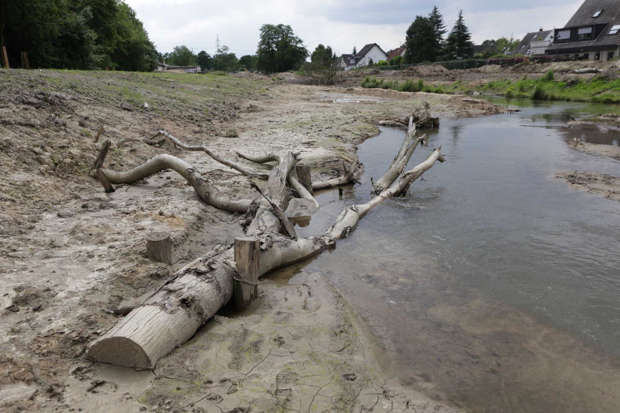 Ein großer, massiver Ast liegt am Ufer der Südlichen Düssel in Vennhausen und ragt teilweise in das Gewässer hinein.