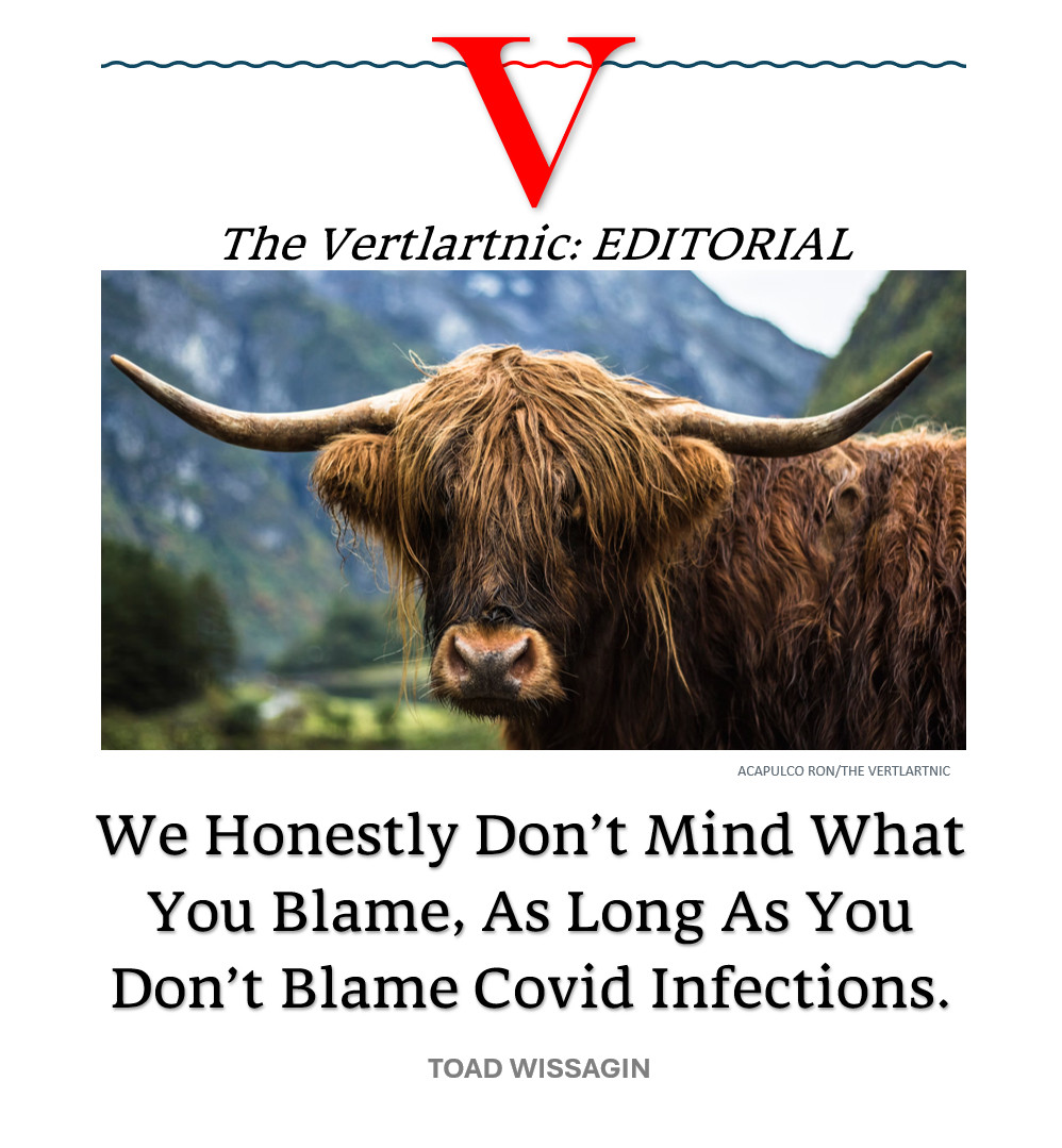 A highland cow
Headline:
We Honestly Don’t Mind What You Blame, As Long As You Don’t Blame Covid Infections.
Story by Acapulco Ron and Toad Wissagin

Photo: https://unsplash.com/photos/brown-cow-on-green-grass-field-during-daytime-_TD9LTEHq-Q