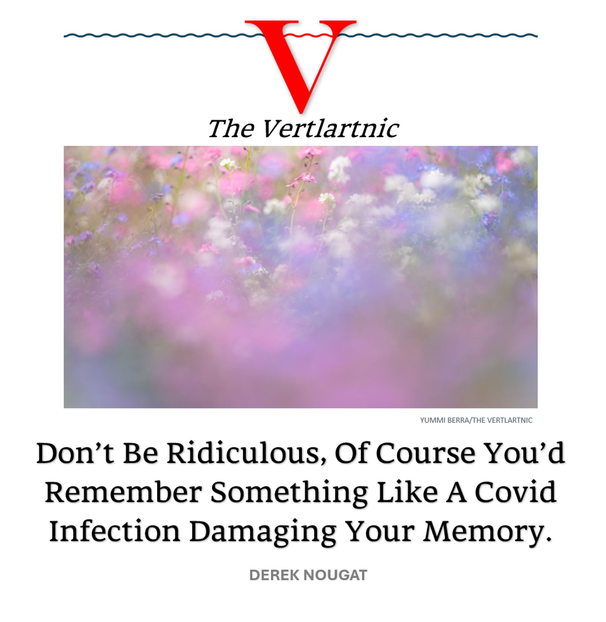 some flowers fading
Headline:
Don’t Be Ridiculous, Of Course You’d Remember Something Like A Covid Infection Damaging Your Memory.
Story by Yummi Berra and Derek Nougat

Photo from unsplash