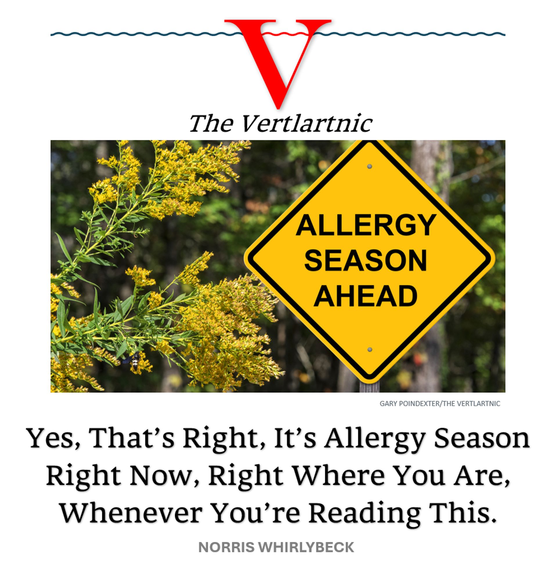 Allergy season ahead
Headline:
Yes, That’s Right, It’s Allergy Season Right Now, Right Where You Are, Whenever You’re Reading This.
Story by Gary Poindexter and Norris Whirlybeck

Photo: Adobe File #:  175073987