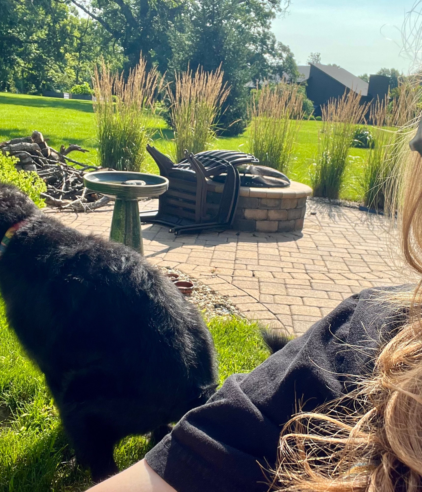 the photo is over the shoulder of a white woman. she is trying to relax in the sun on a patio. to the side and slightly behind her, despite having three acres at his disposal, a black labradoodle shits two feet away.