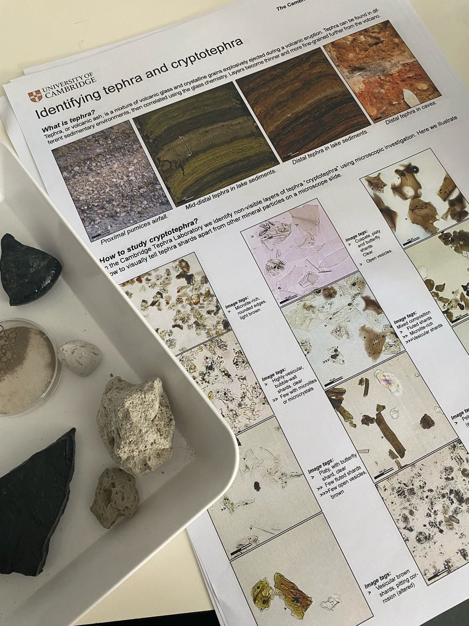 Some volcanic glass, ash and pumice hand specimens alongside a colour printed sheet showing photos and descriptions of volcanic glass shard morphologies and tephra layers