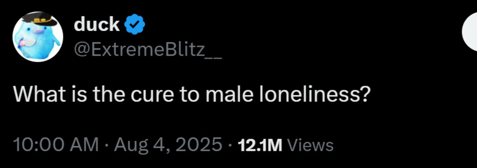 A post asking, "What is the cure to male loneliness?"