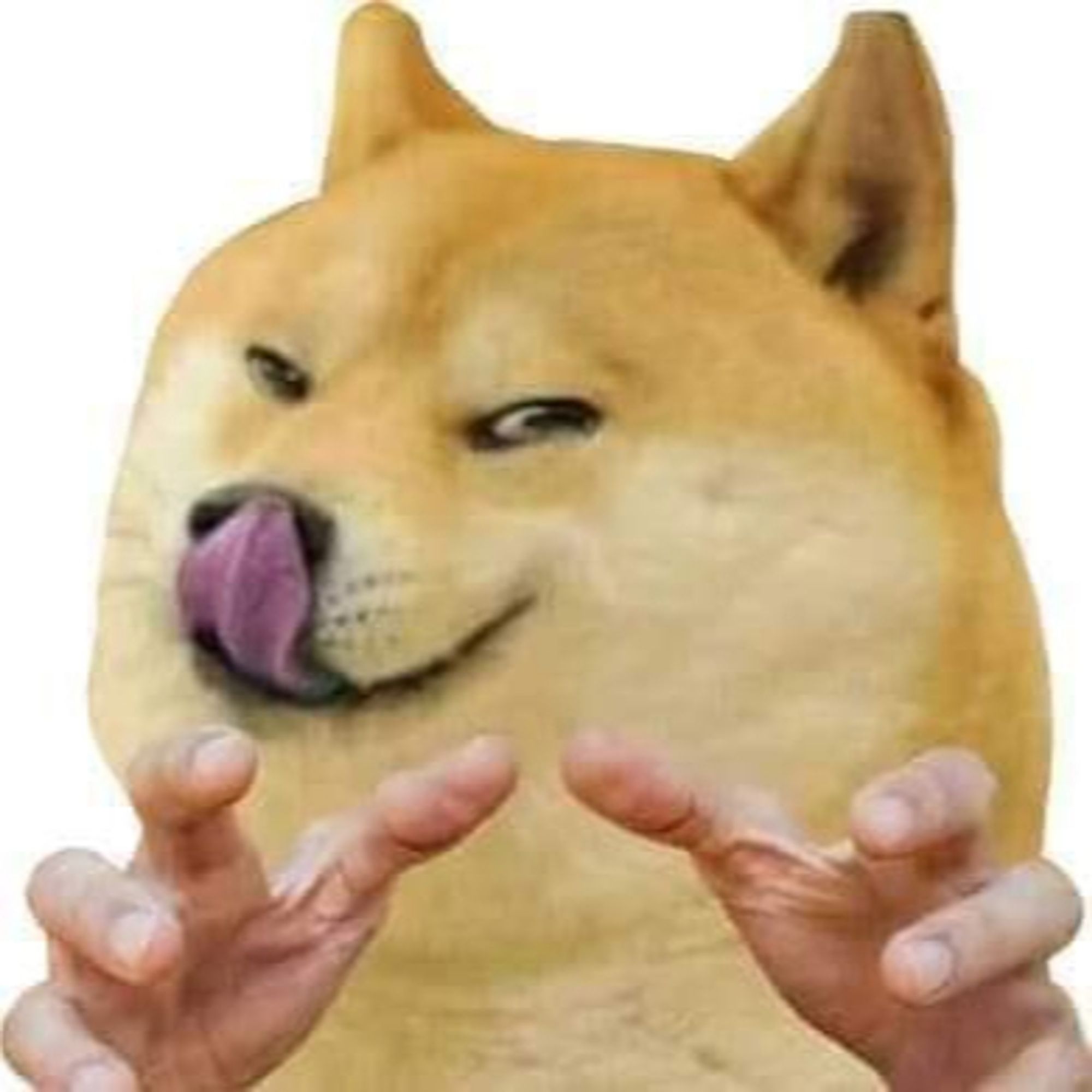 grabby hands doge to signify the unspeakable things i would do 